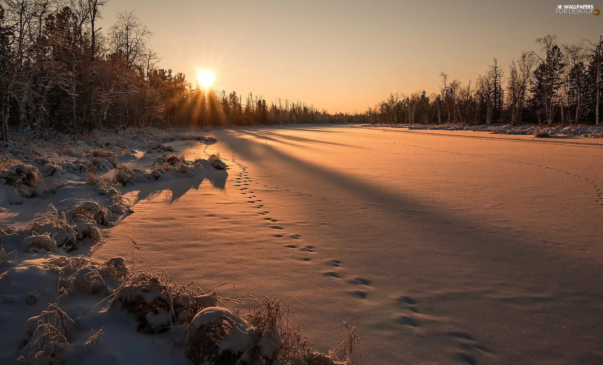viewes, winter, snow, traces, Great Sunsets, trees