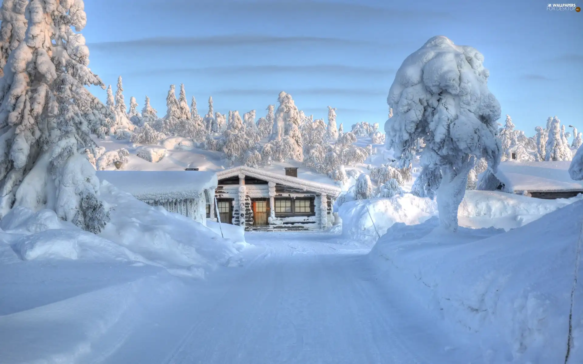 viewes, snow, Home, trees, Way