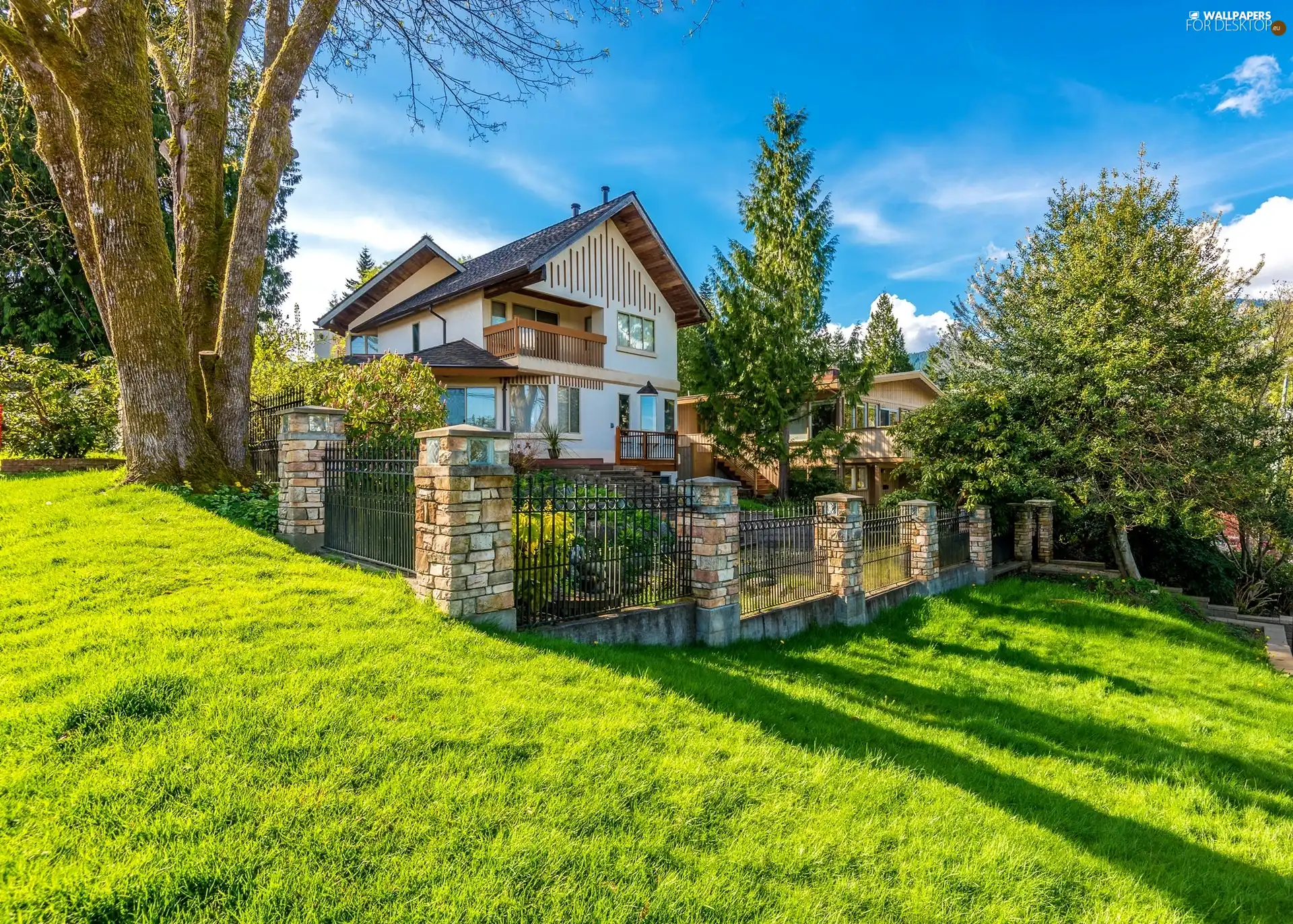 trees, house, Lawn, fence, lovely, viewes, summer