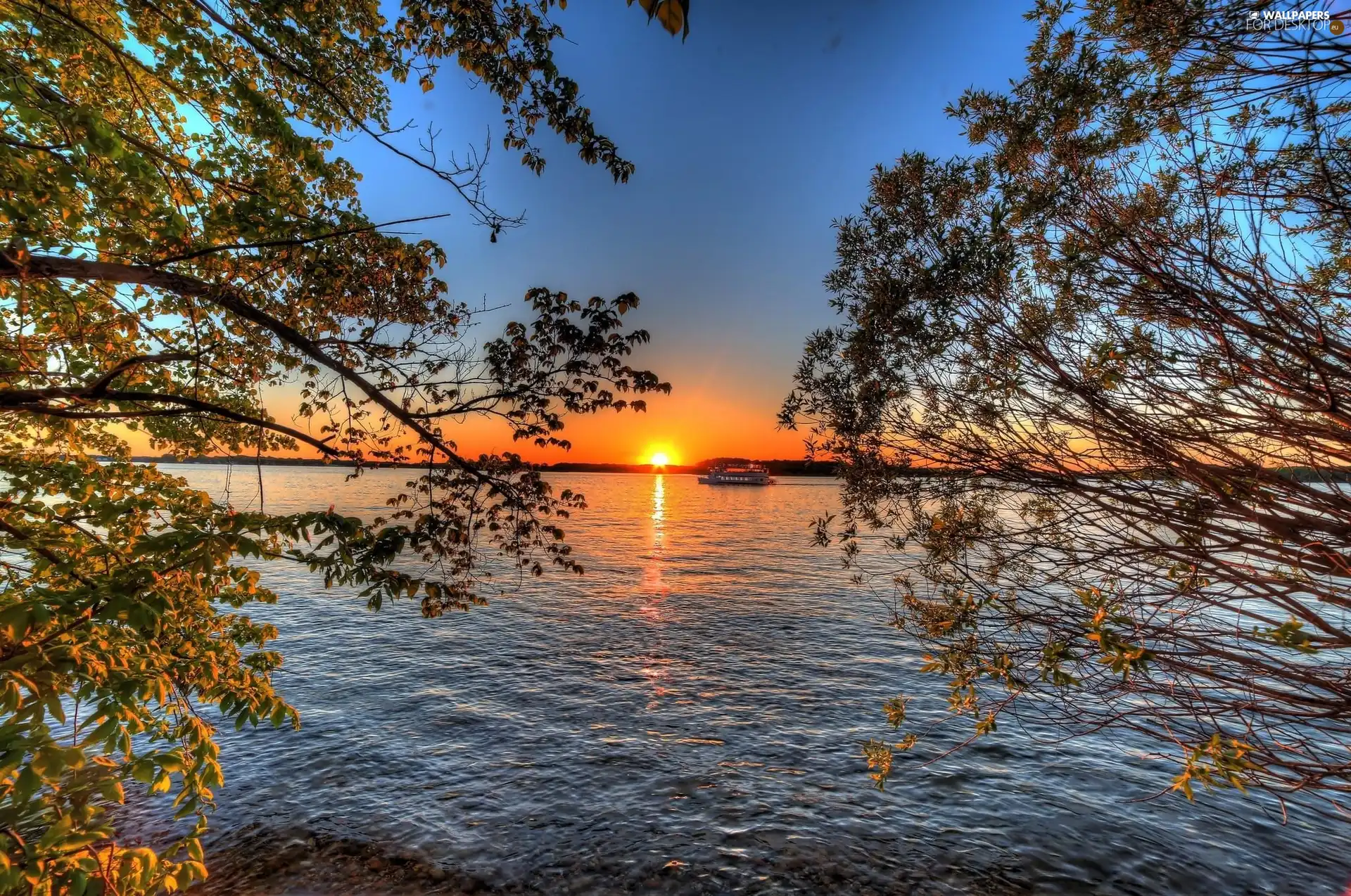trees, Ship, west, cruise, lake, viewes, sun
