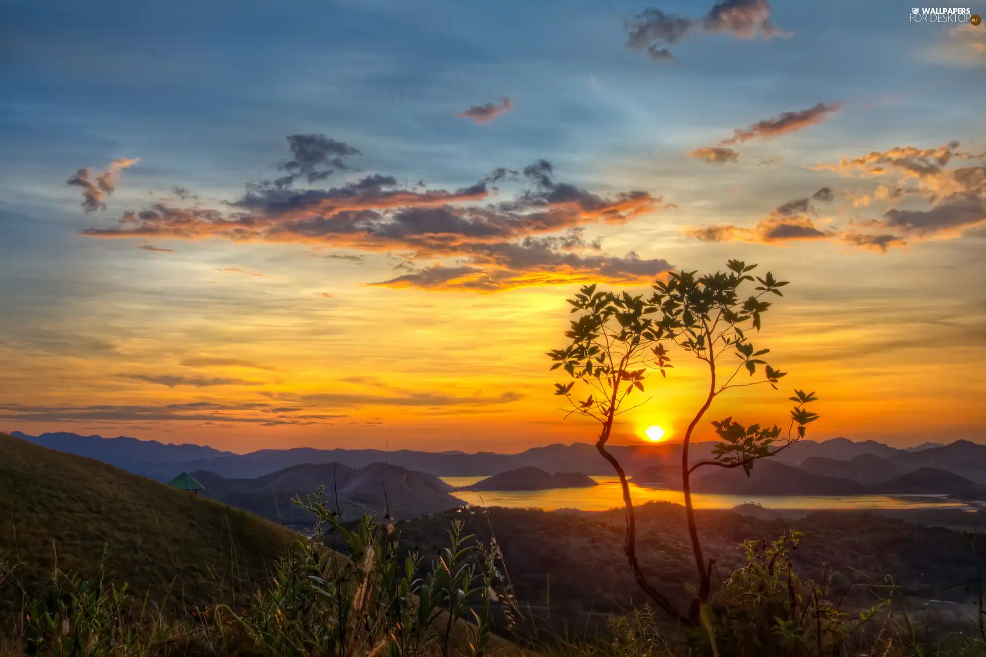 trees, Island, east, Mountains, lake, viewes, sun