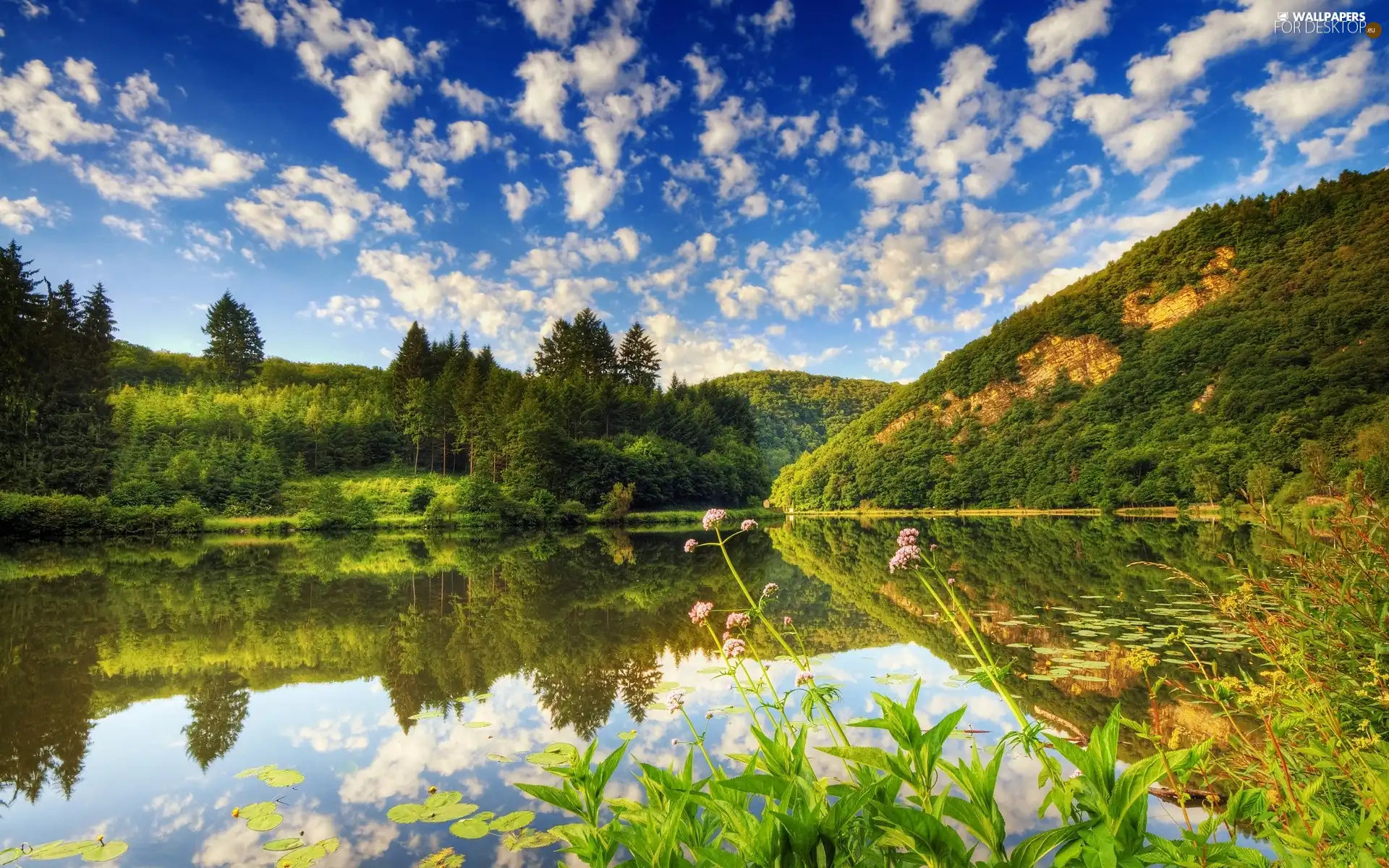 viewes, clouds, The Hills, trees, lake