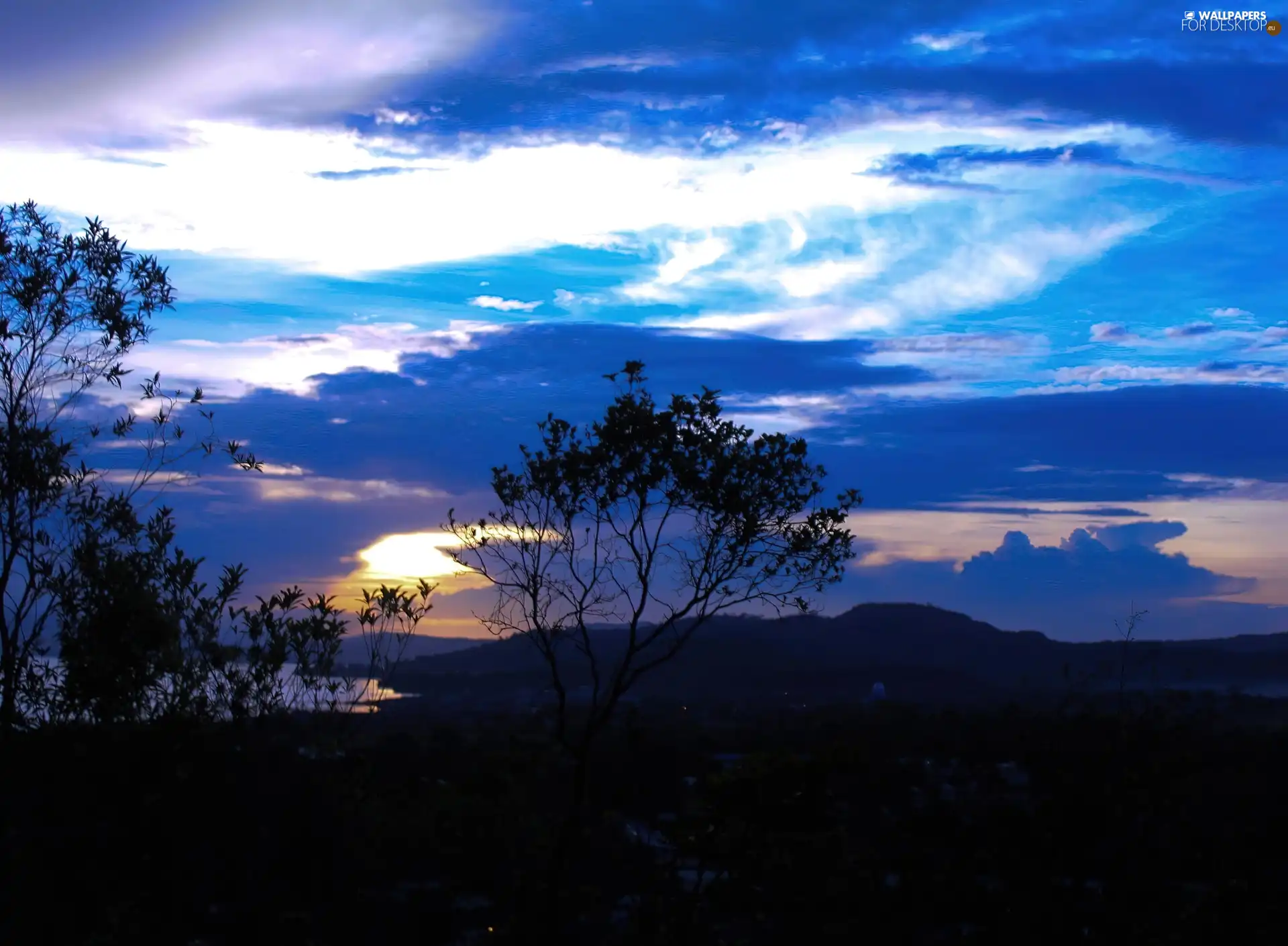 viewes, clouds, trees