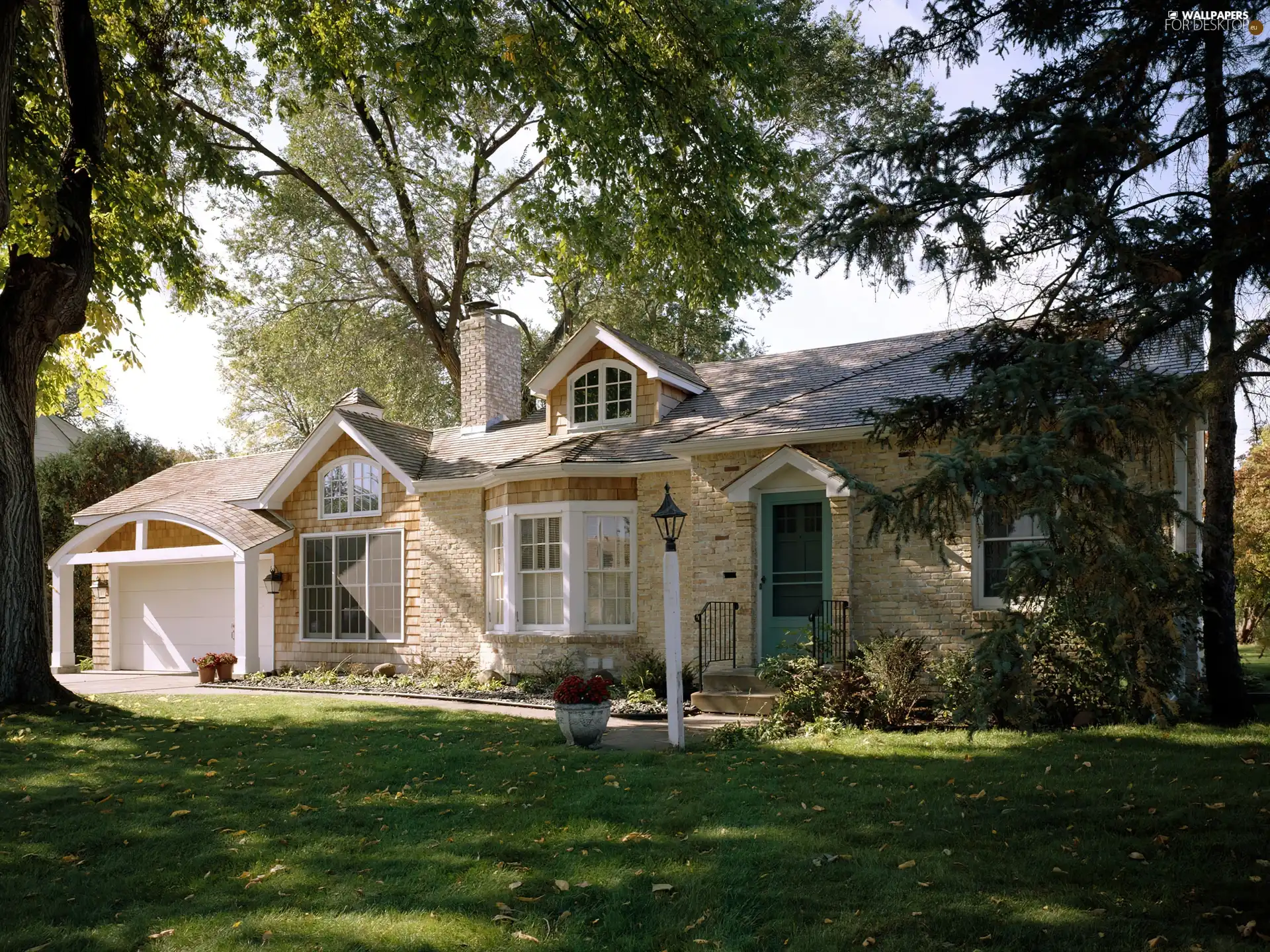 viewes, house, trees