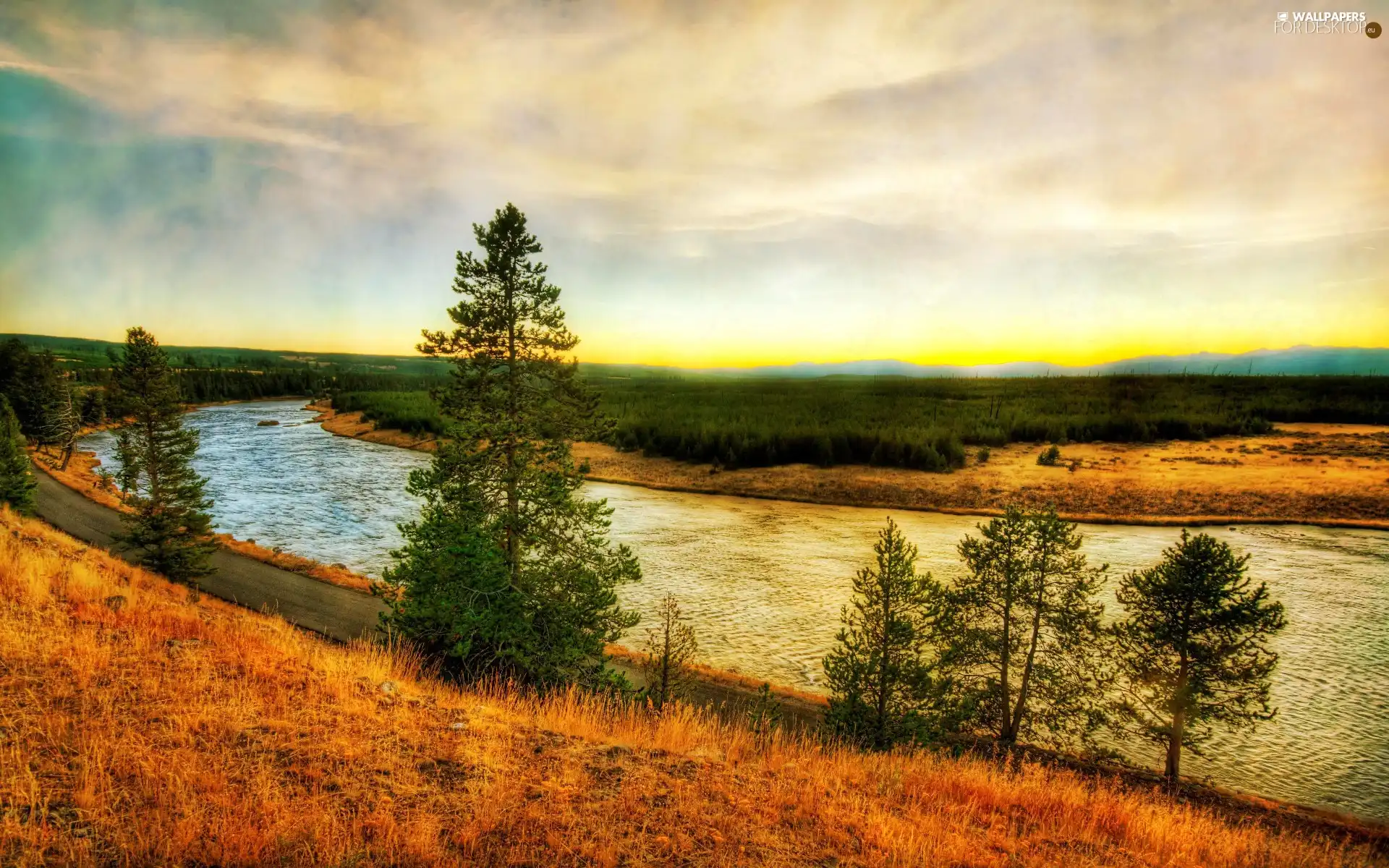 viewes, River, trees