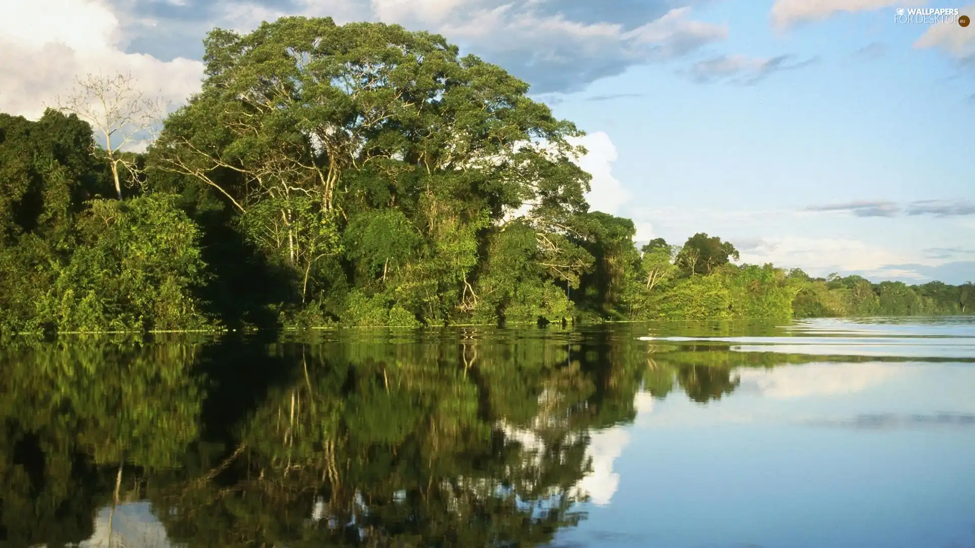 viewes, River, trees