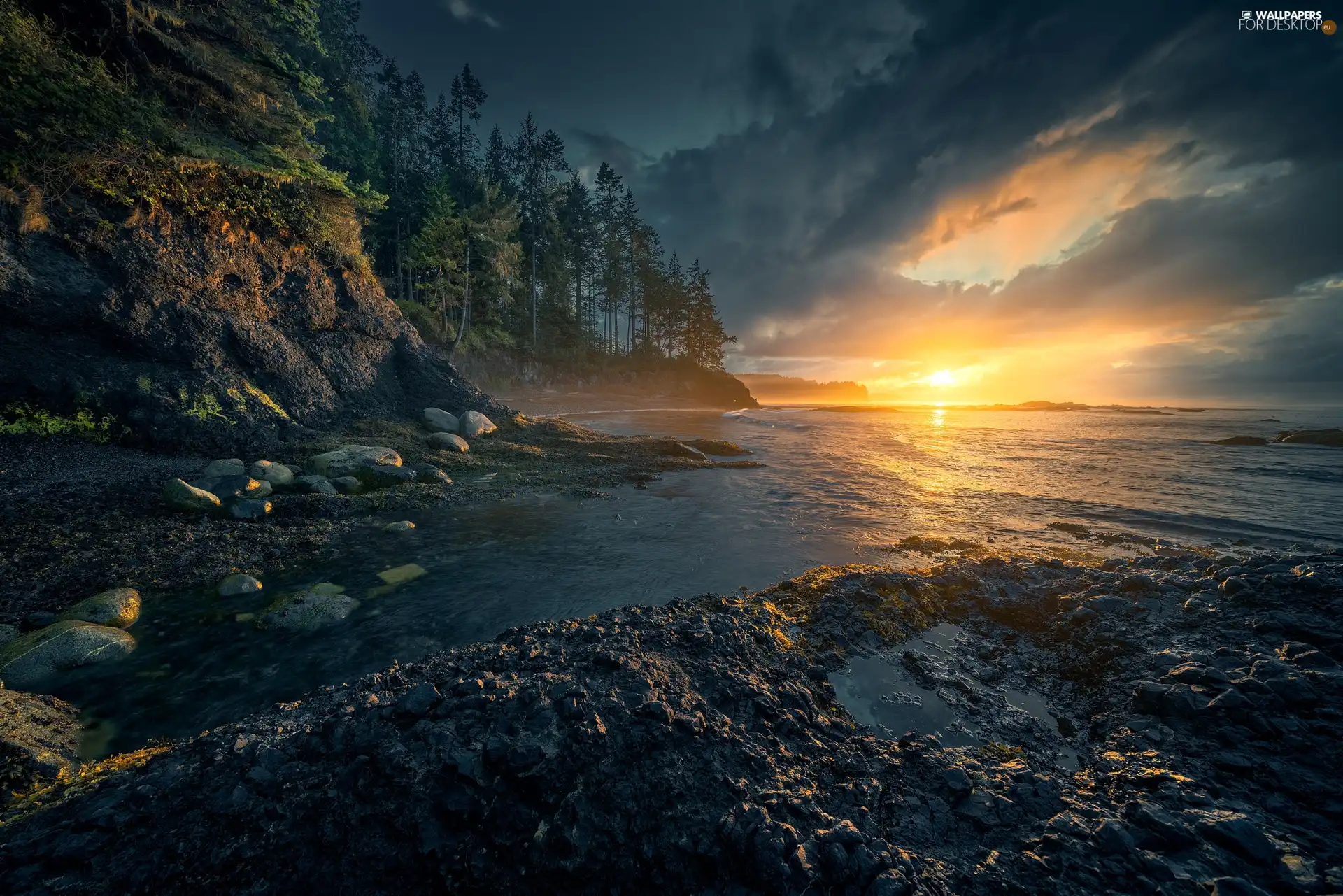 Great Sunsets, Pacific Ocean, scarp, Washington State, trees, sea, Coast, The United States, Olympic National Park, viewes