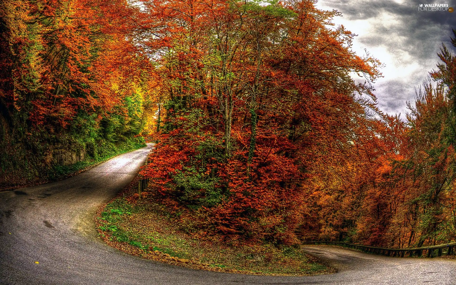 viewes, turn, Way, trees, autumn