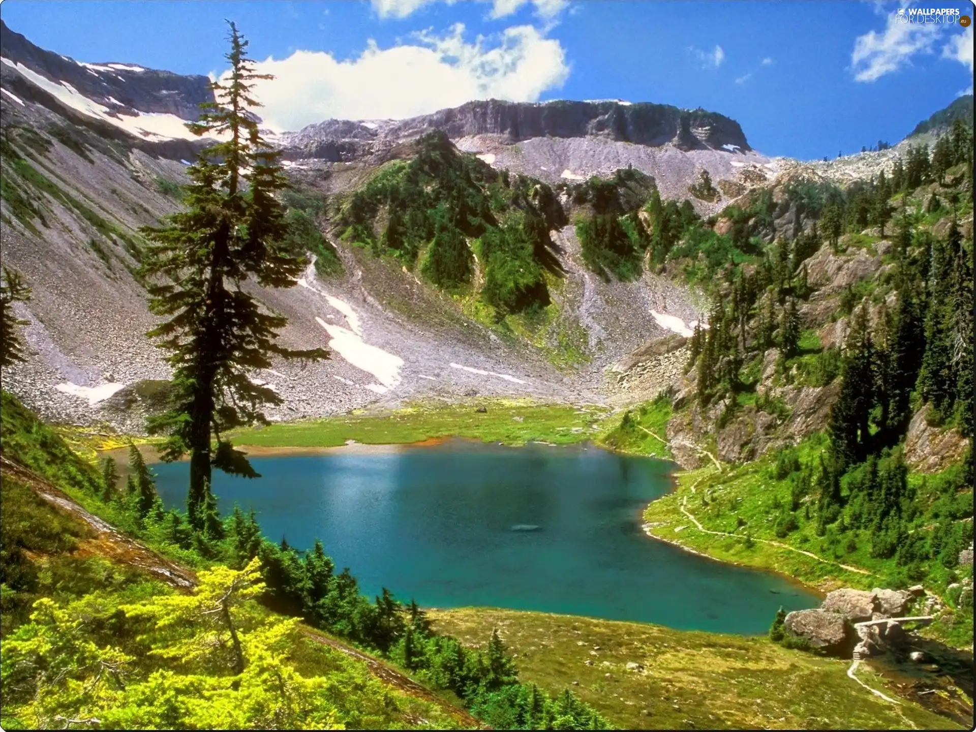 water, trees, viewes, Mountains