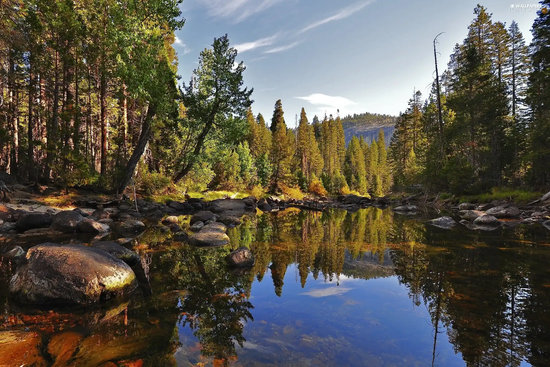 water, trees, viewes, Stones