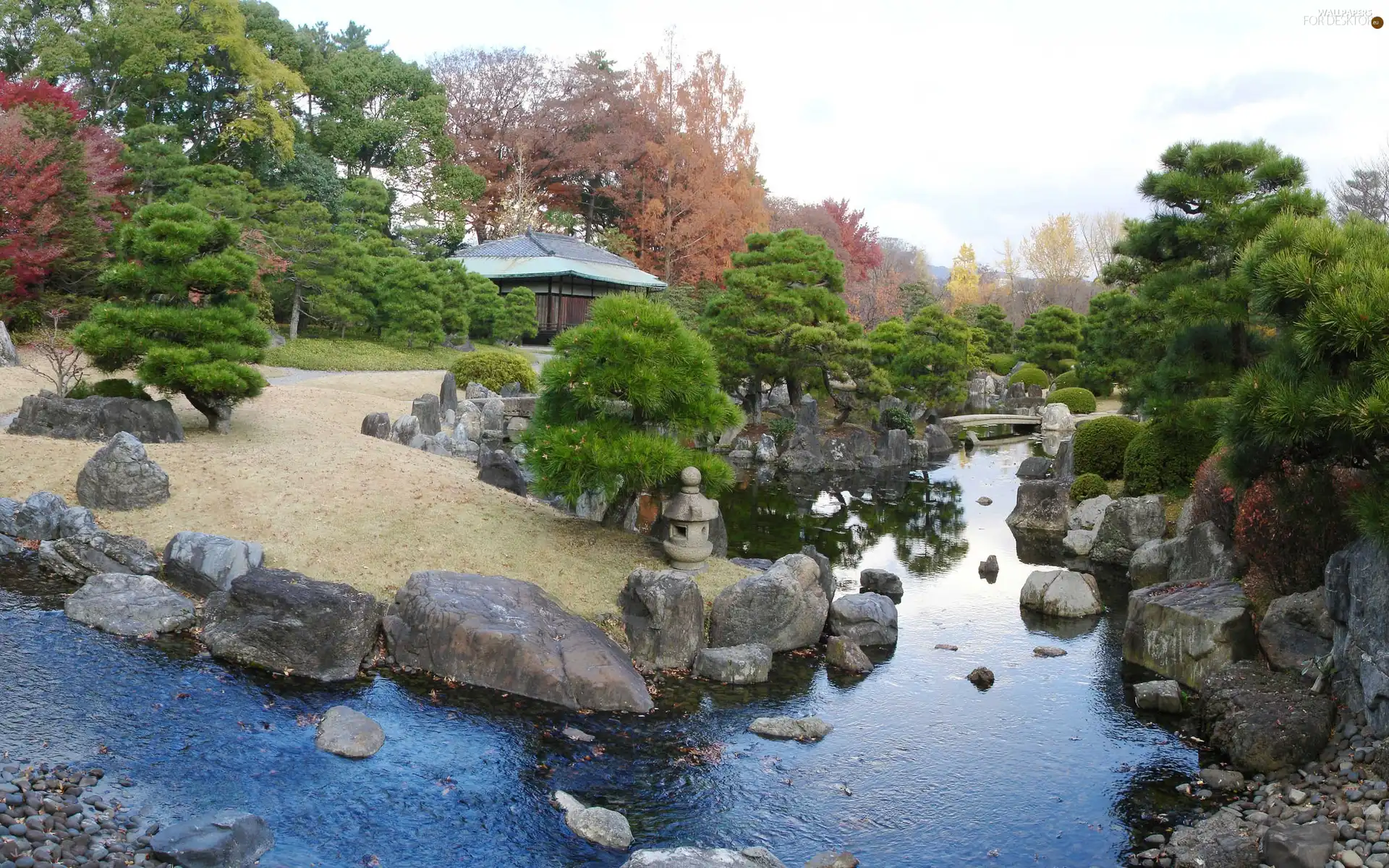 water, trees, viewes, Stones