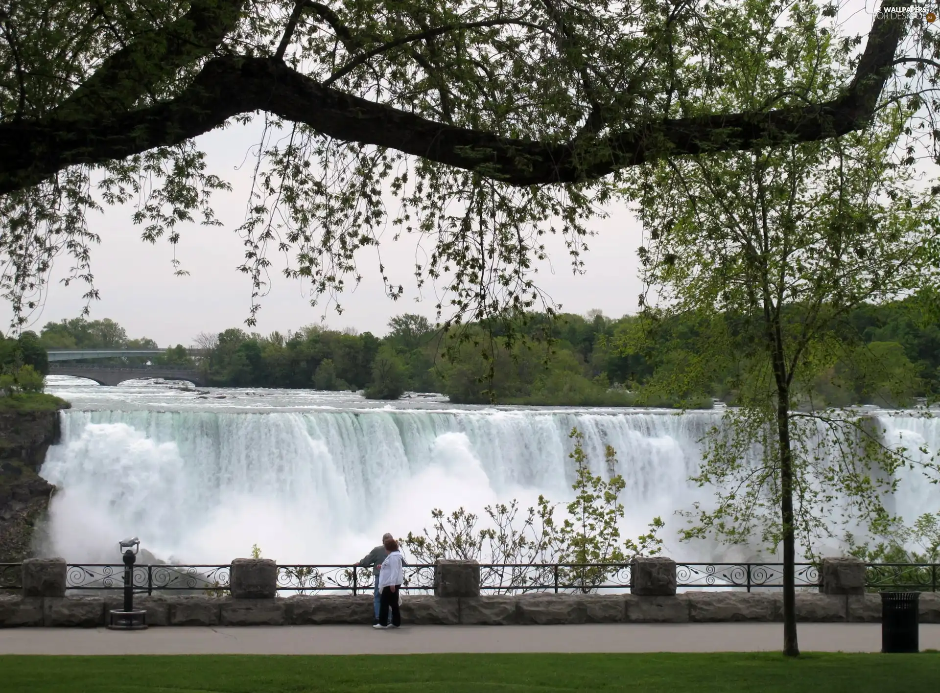 waterfall, trees, viewes, Park