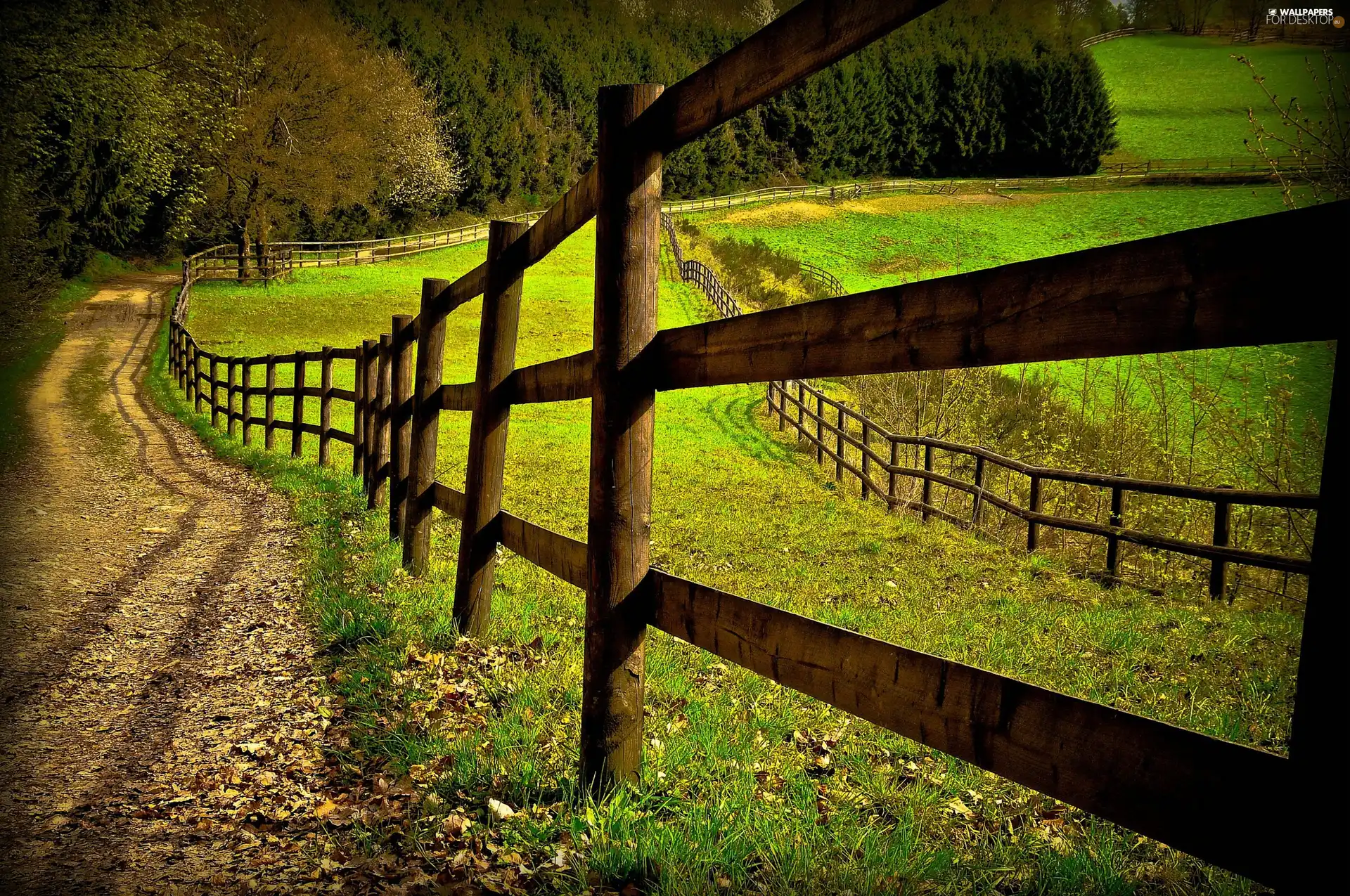 Way, trees, viewes, fence