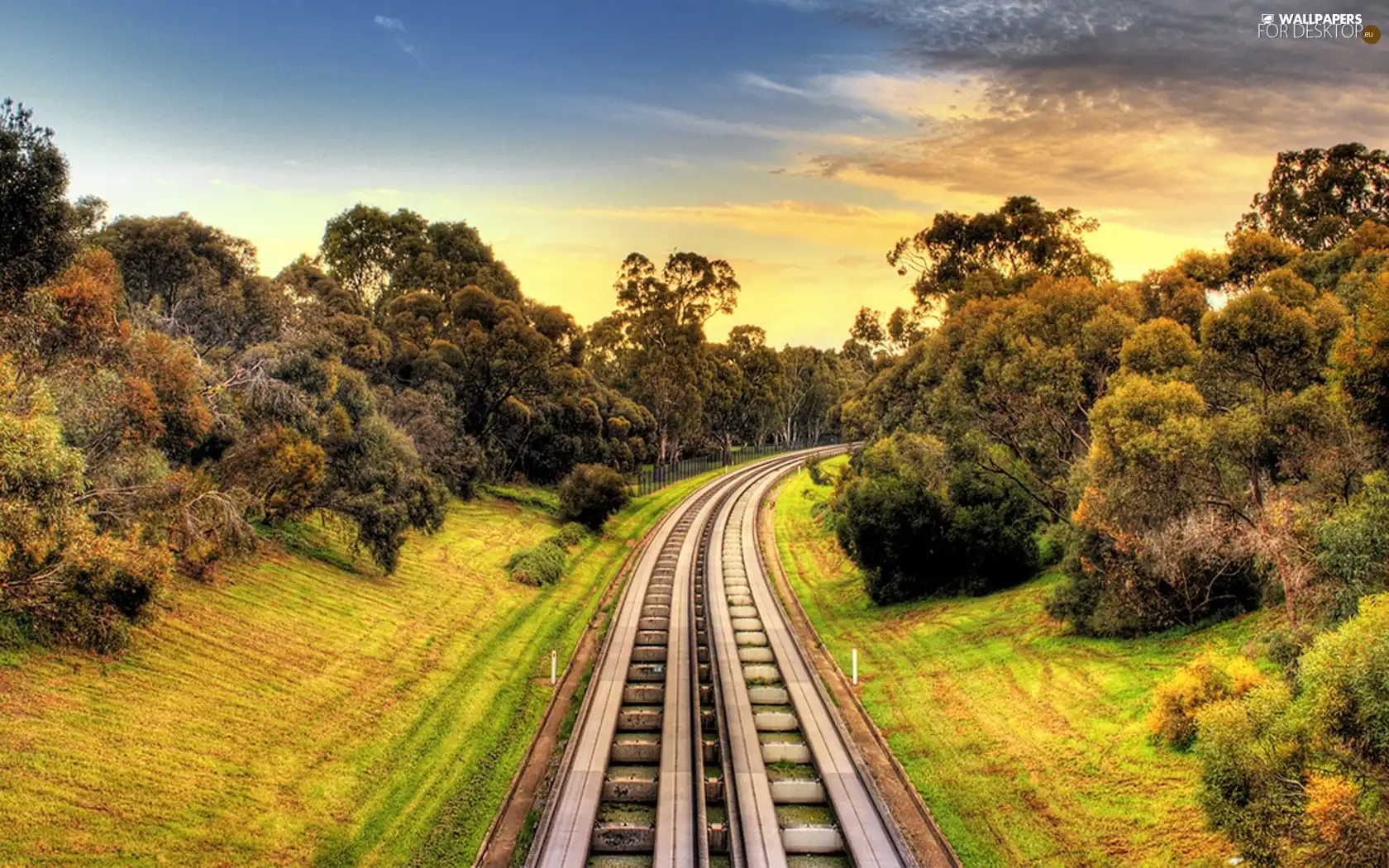 Way, trees, viewes, railway