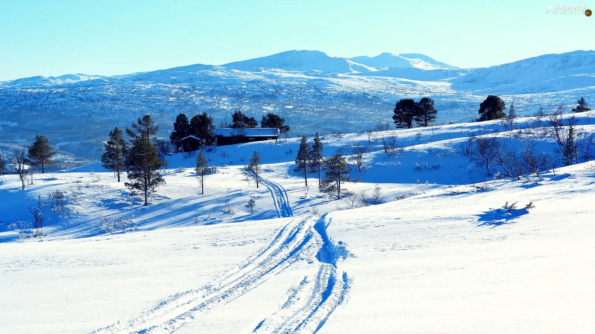 Mountains, Farms, viewes, winter, trees, field