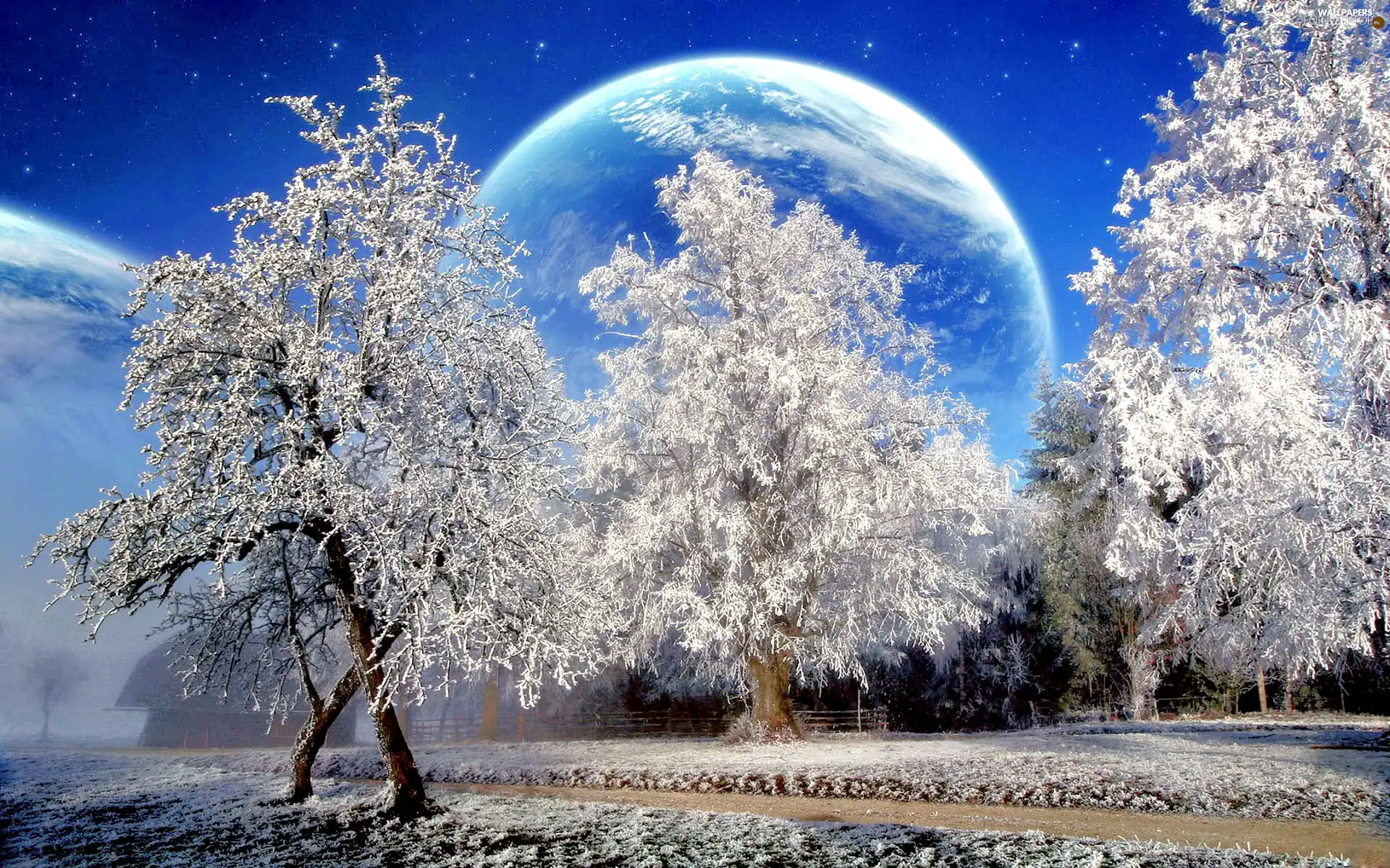 winter, trees, viewes, Planet