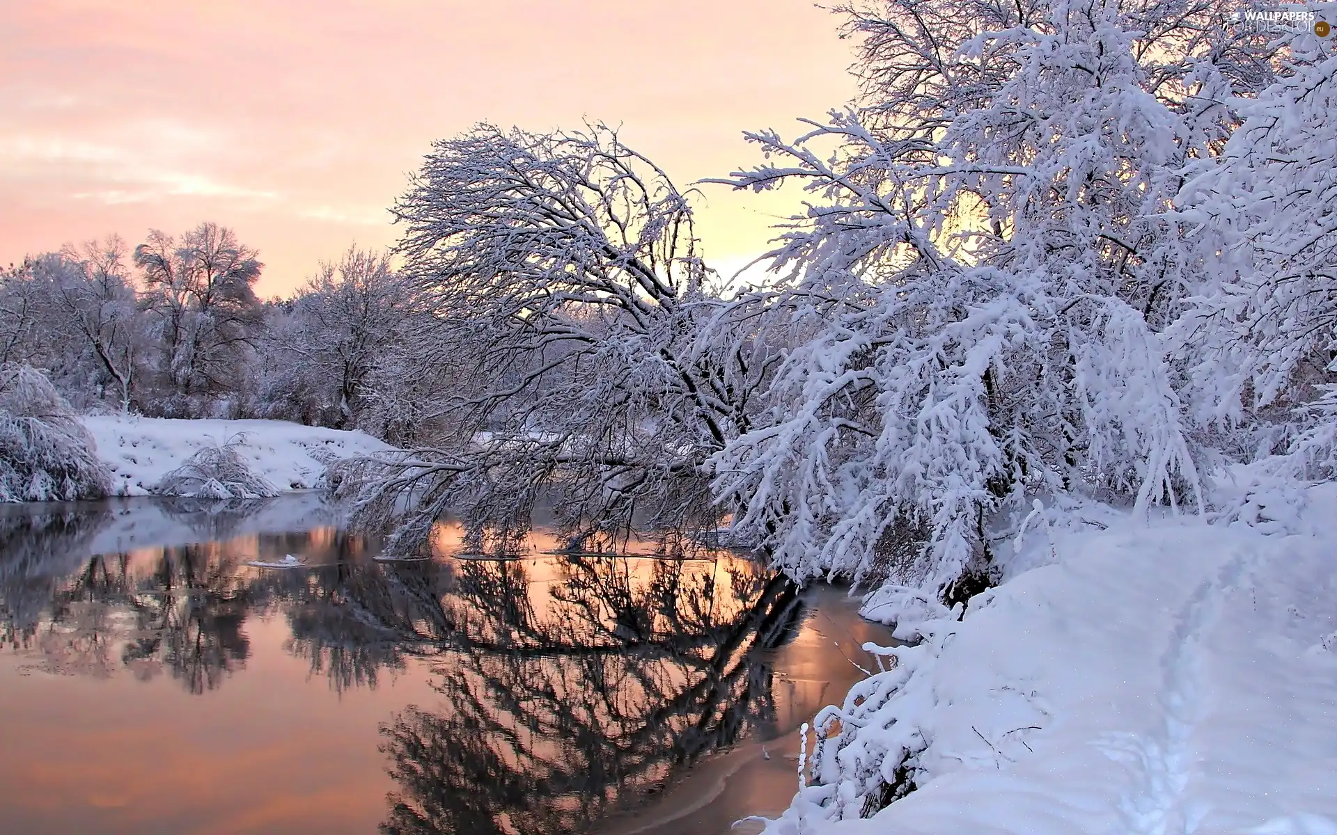 winter, trees, viewes, River