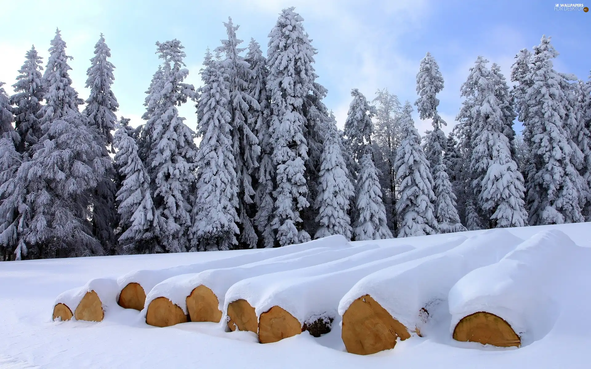 winter, trees, viewes, Snowy