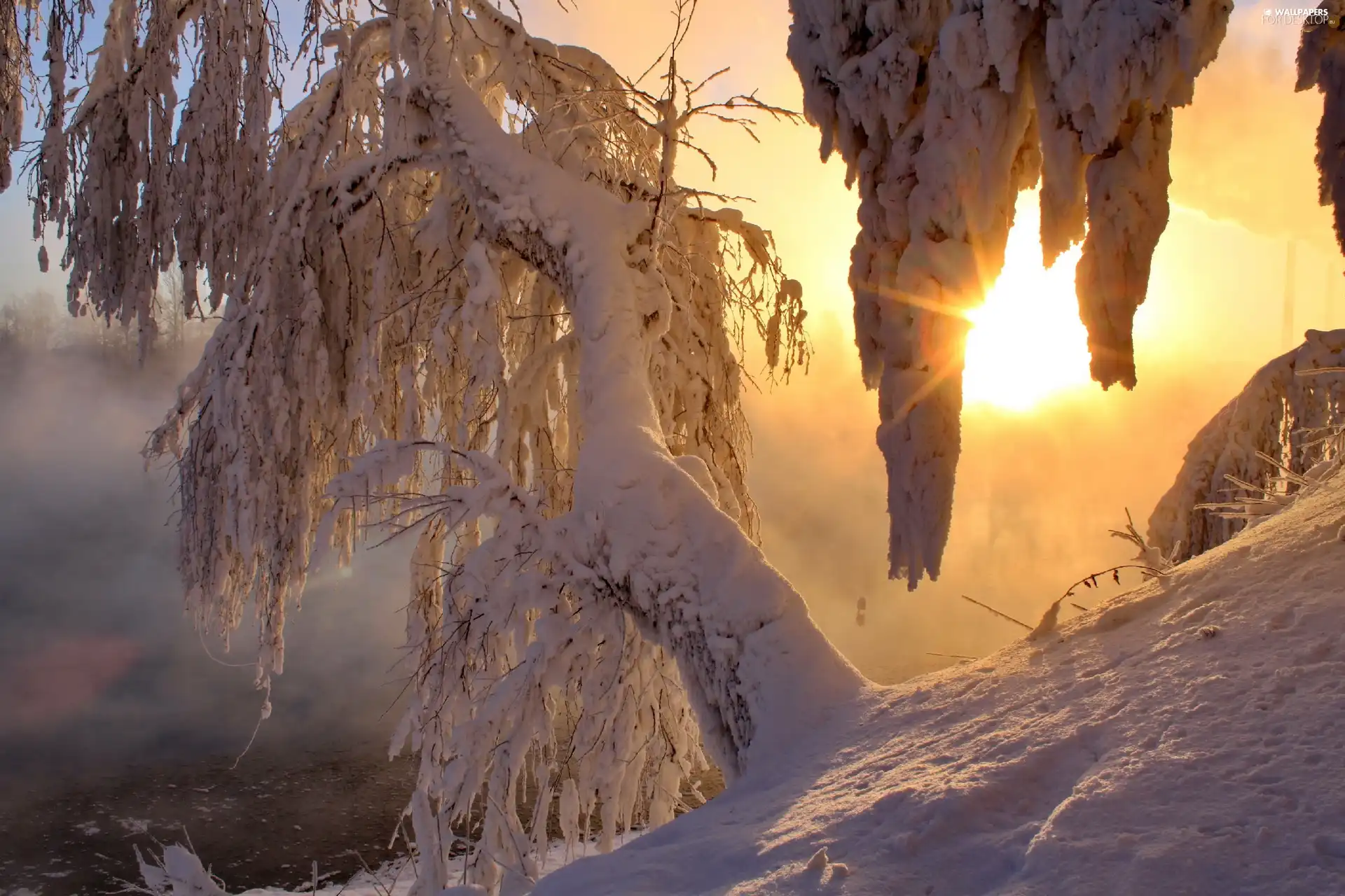 viewes, winter, sun, trees, west