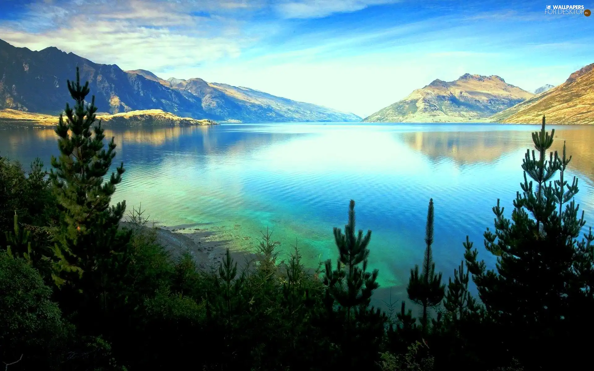 viewes, New Zeland, Mountains, trees, lake