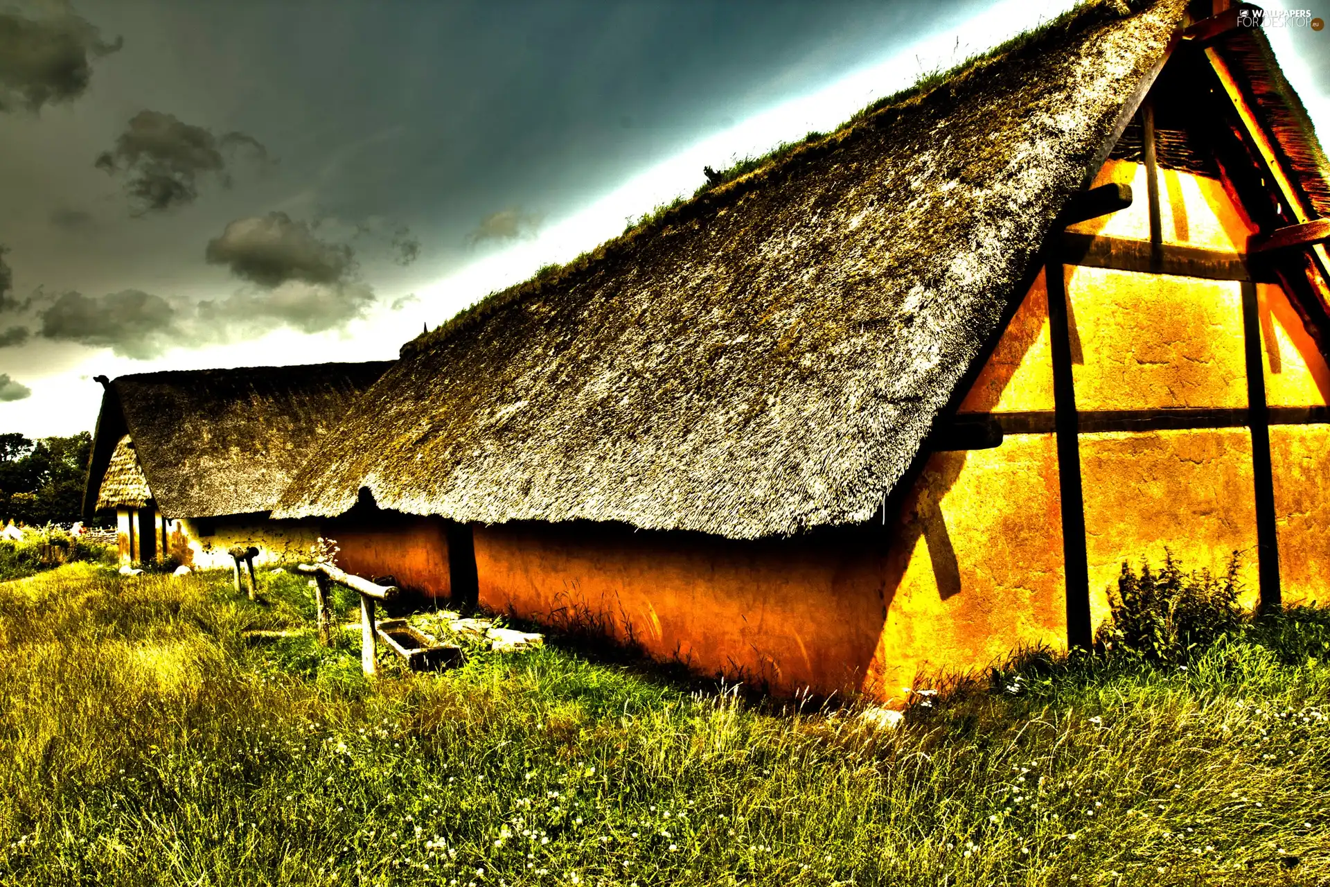 Skansen, Vikings