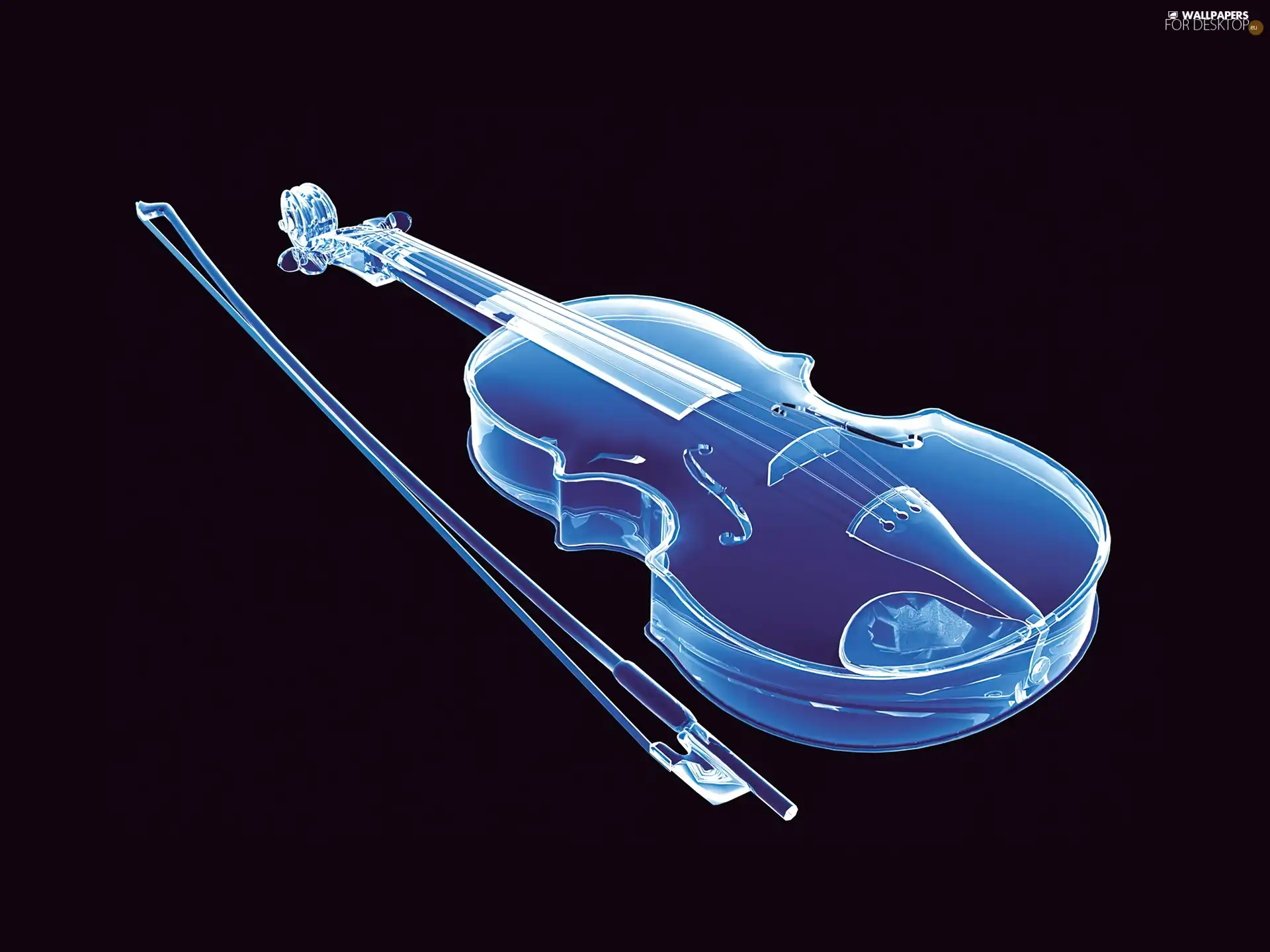 bow, violin