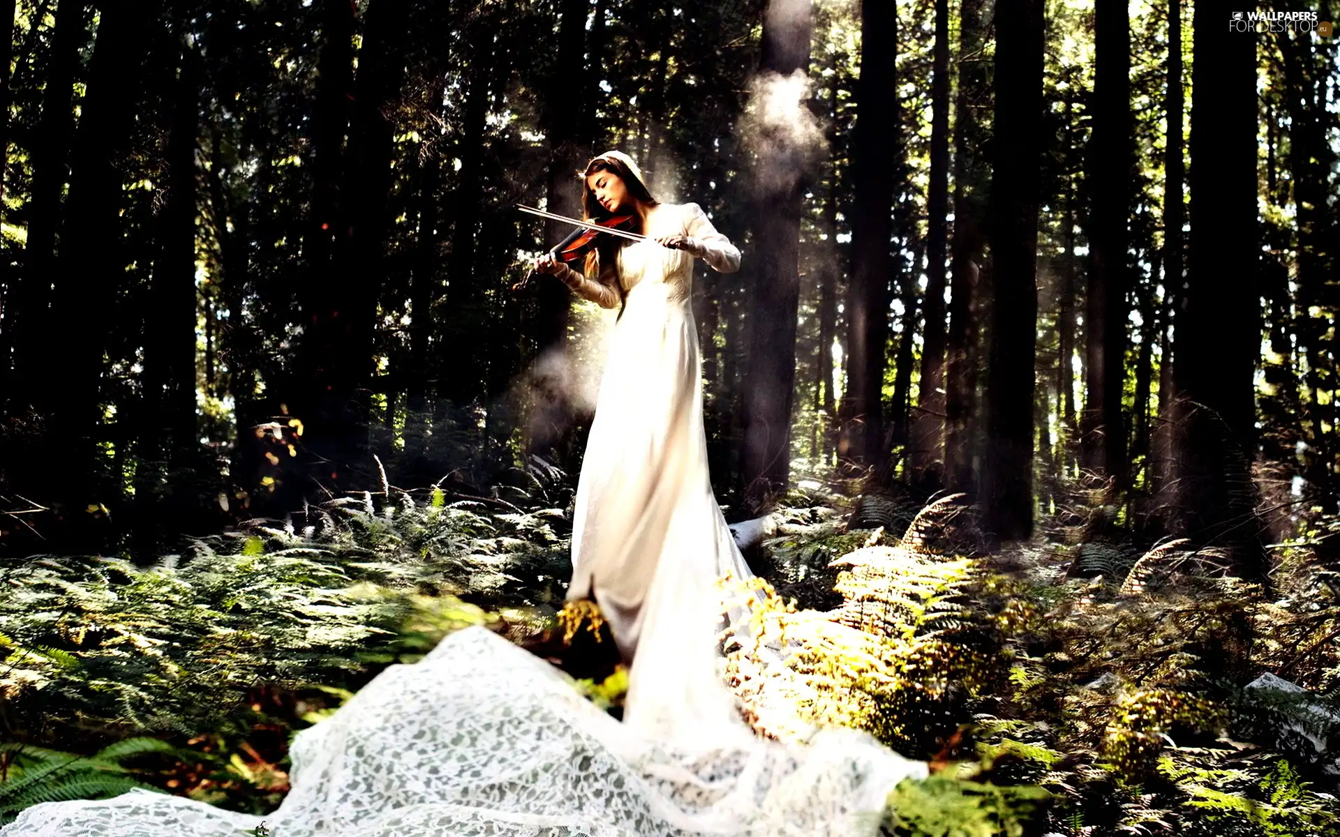 forest, Women, violin