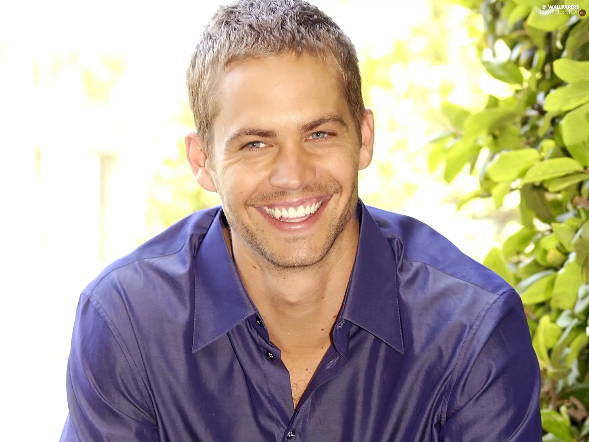 a man, Paul, Walker, actor