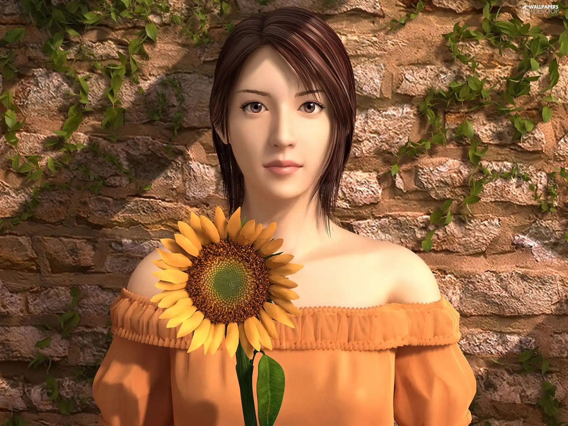 wall, girl, Sunflower