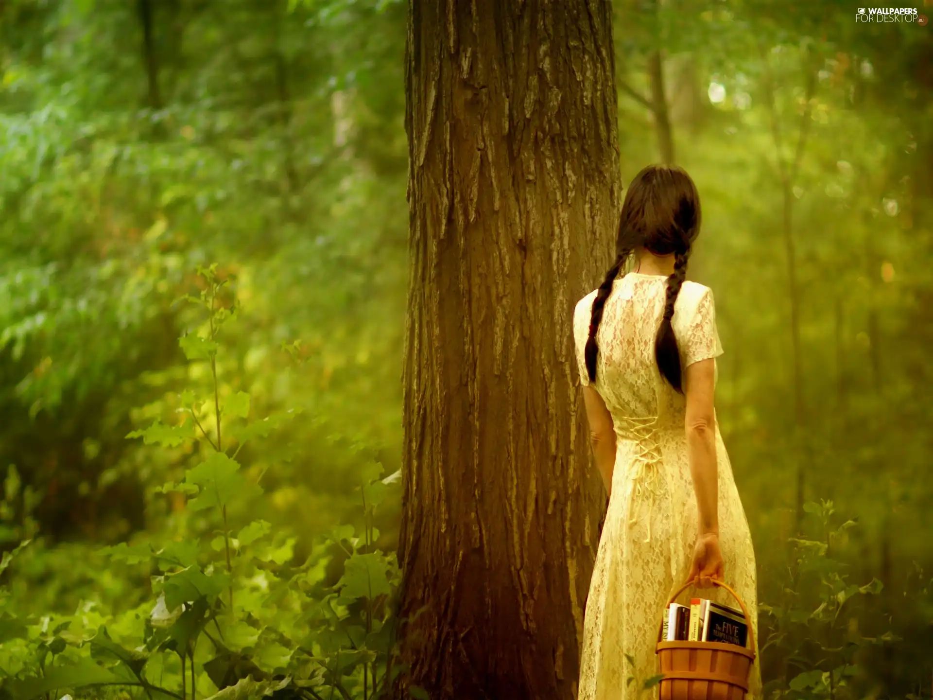 wander, Women, forest