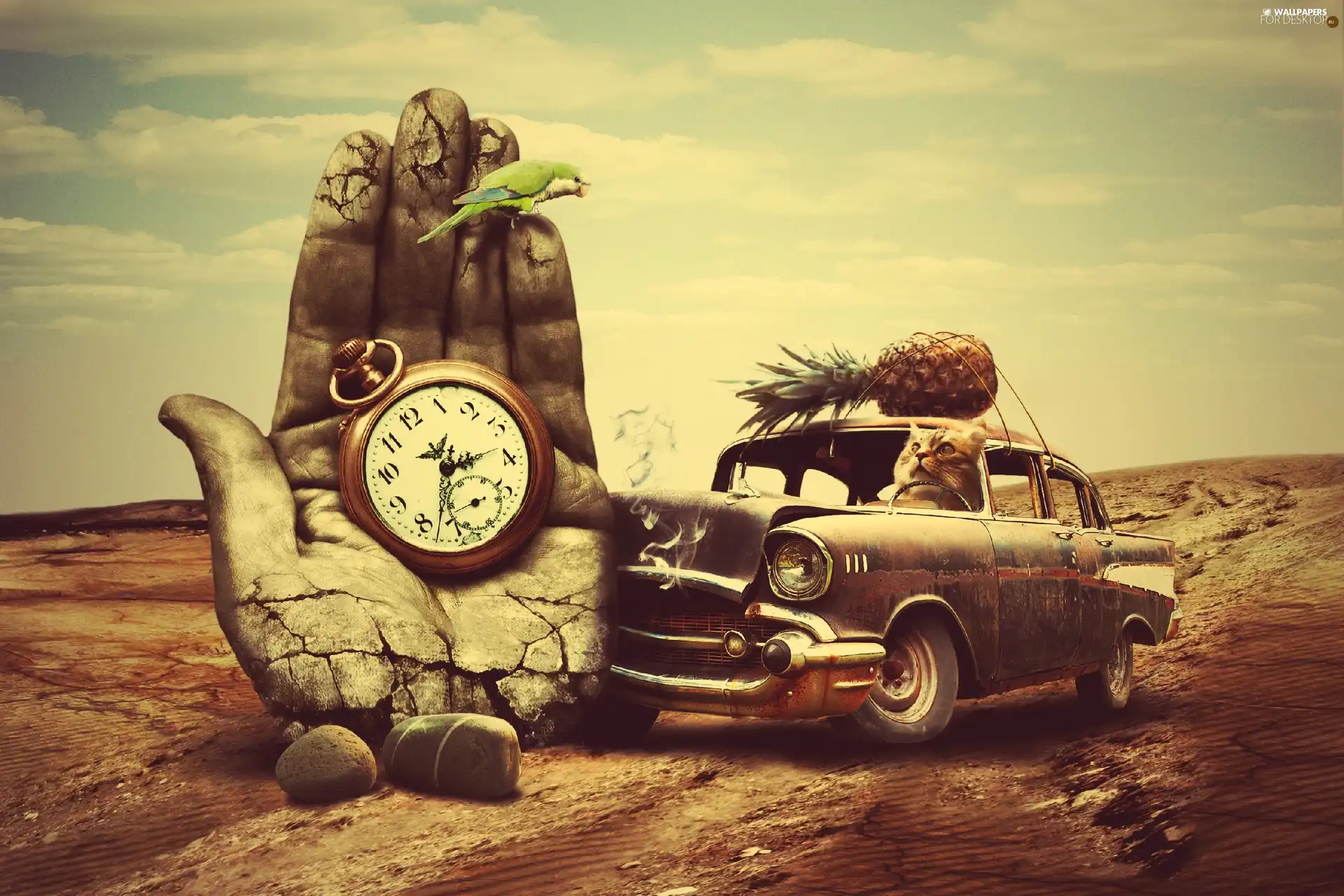 Watch, ananas, hand, Automobile, fantasy