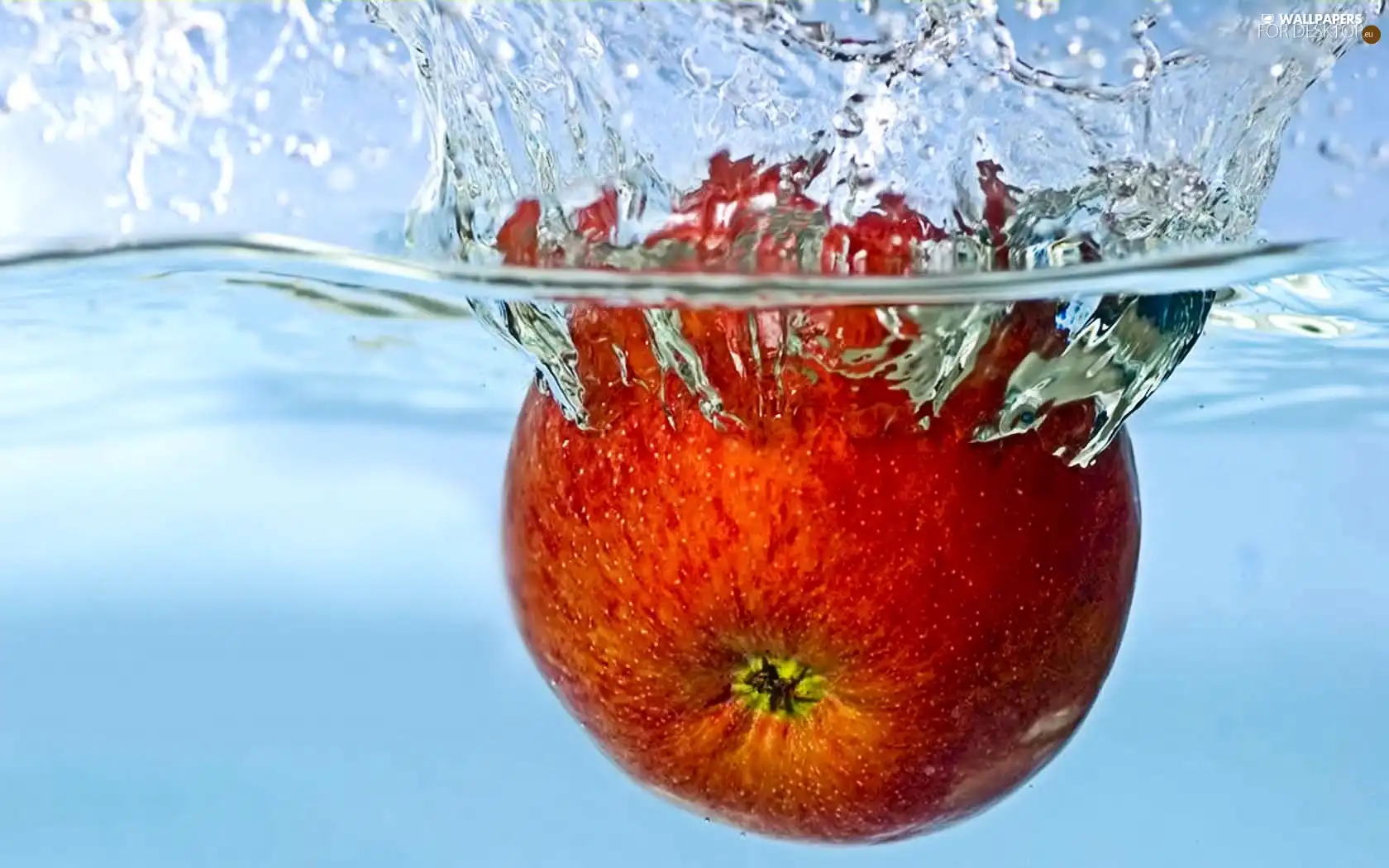 water, Red, Apple