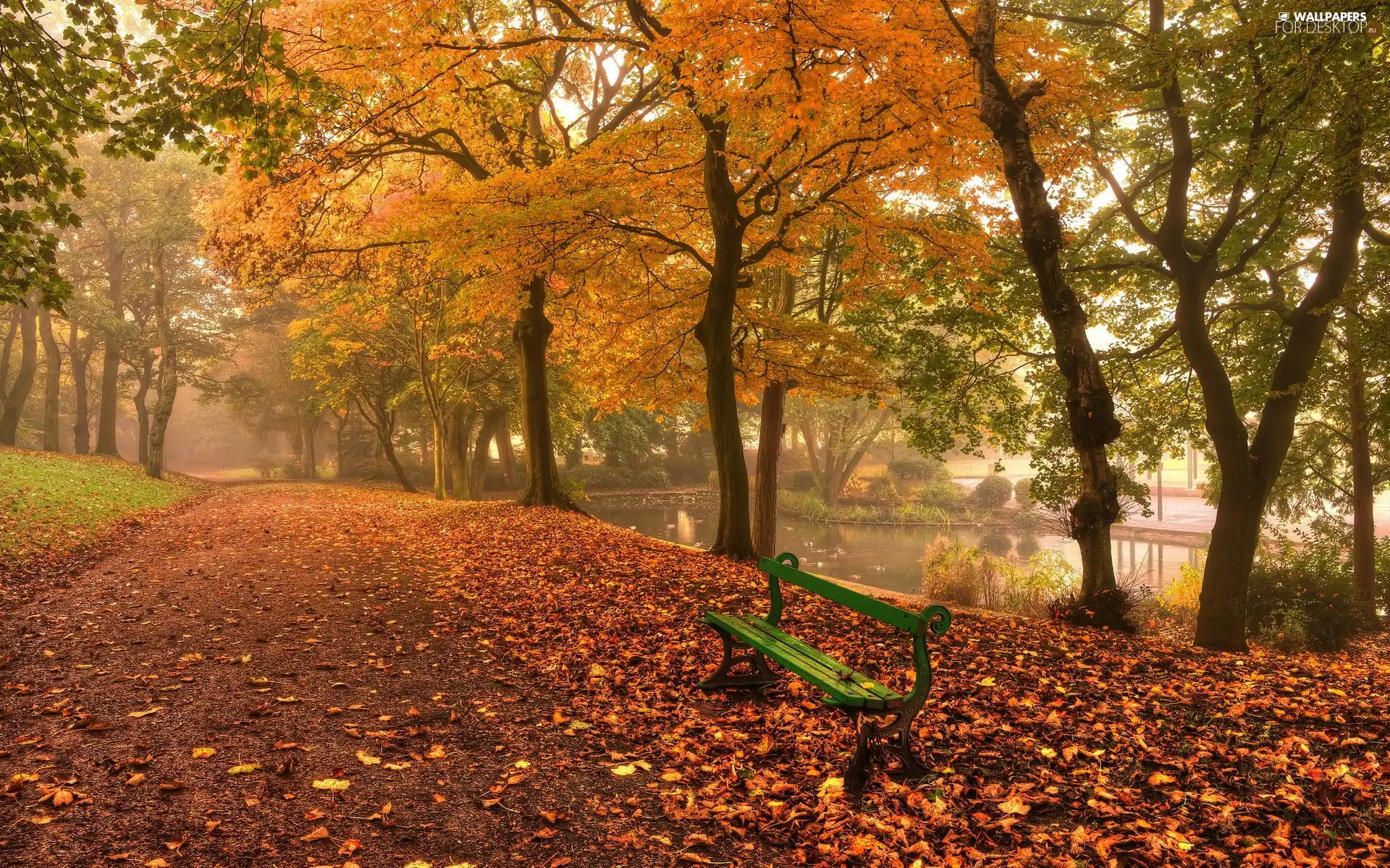 Leaf, Park, water, autumn, container, alley