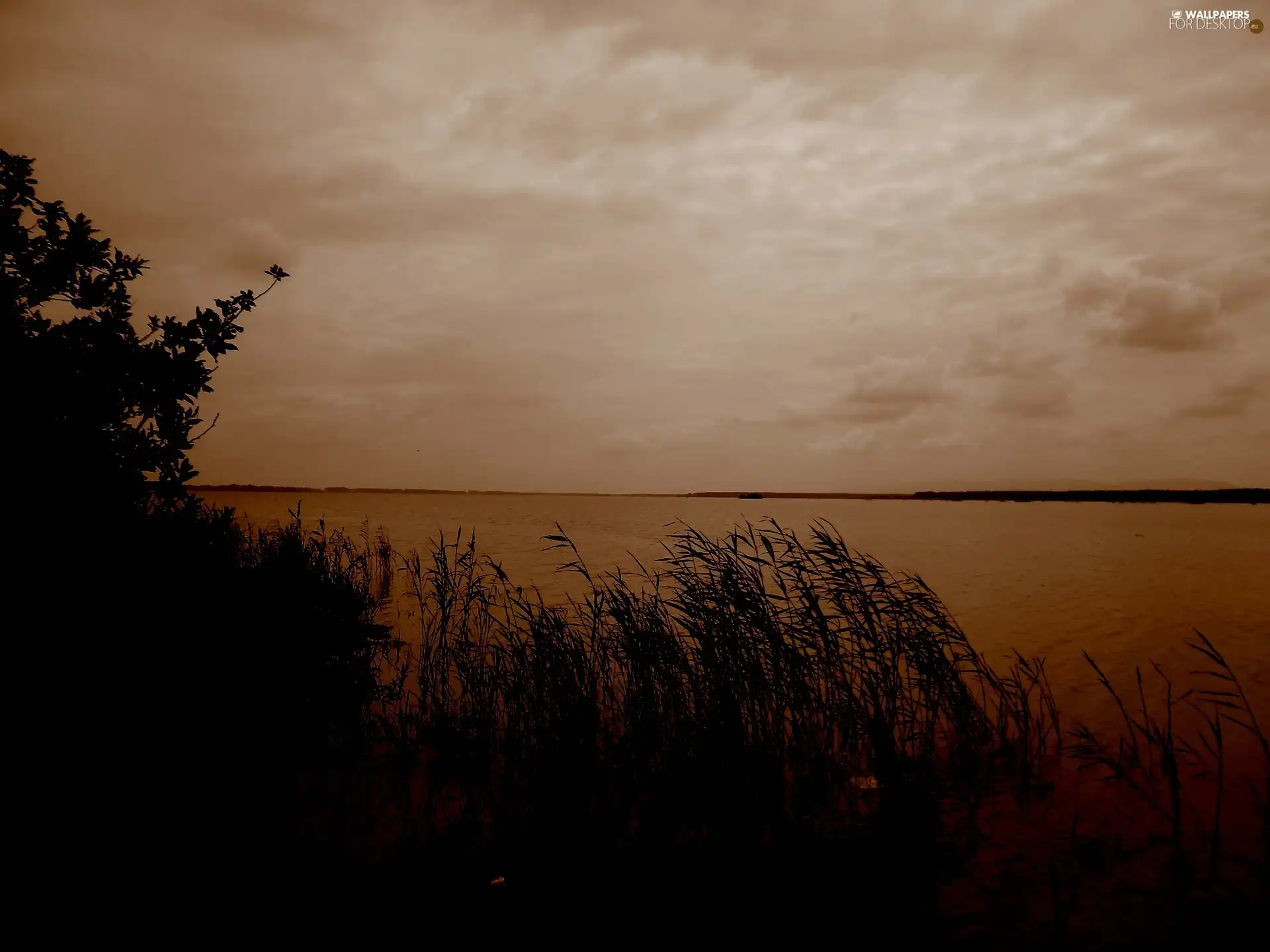 water, clouds, lake, coast, nature