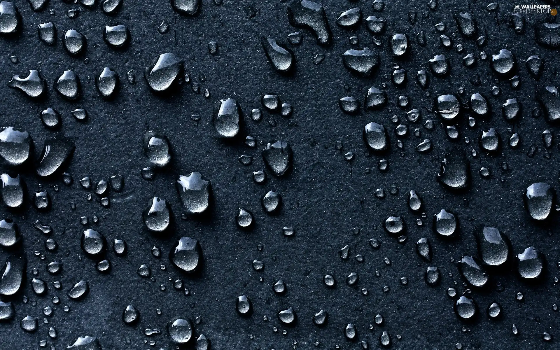 drops, water