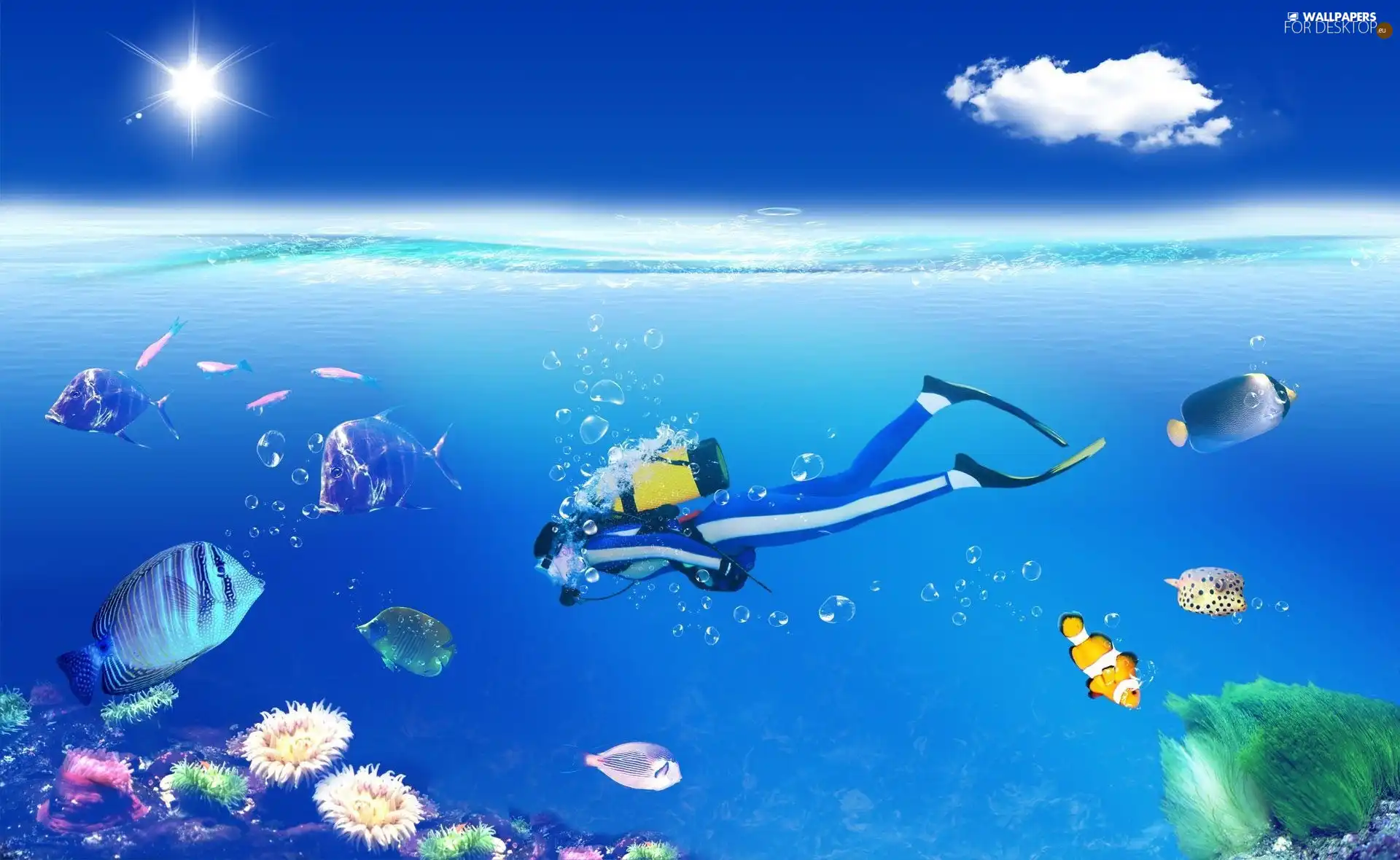 water, plunger, fishes