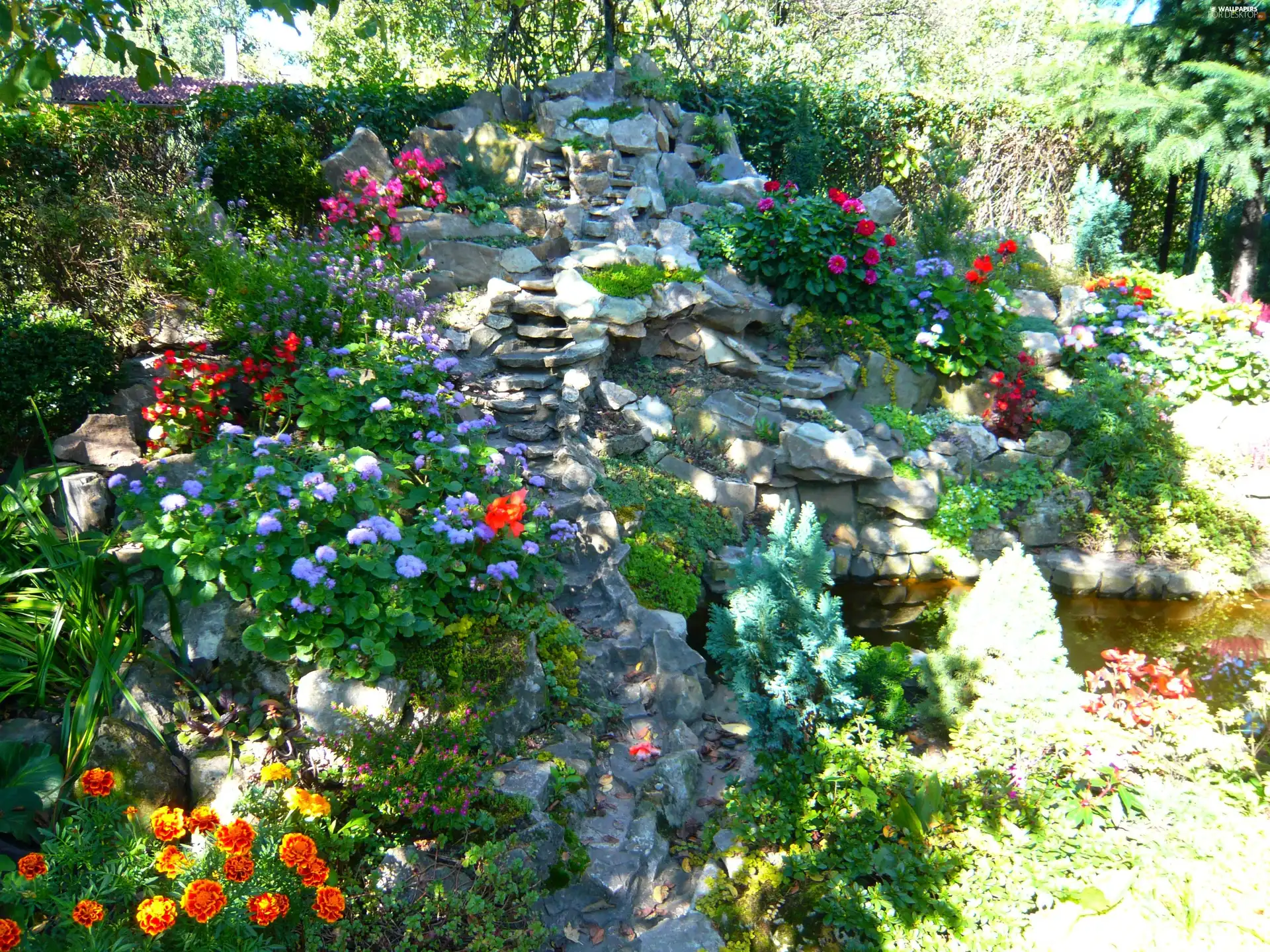 water, Stones, Flowers