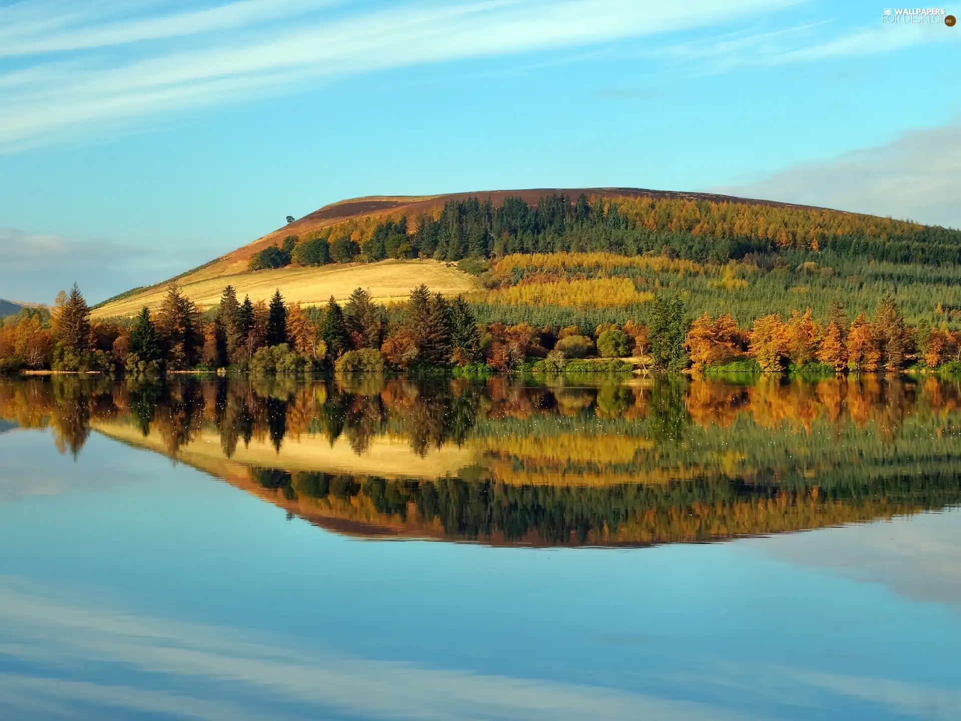 water, Upland, forest