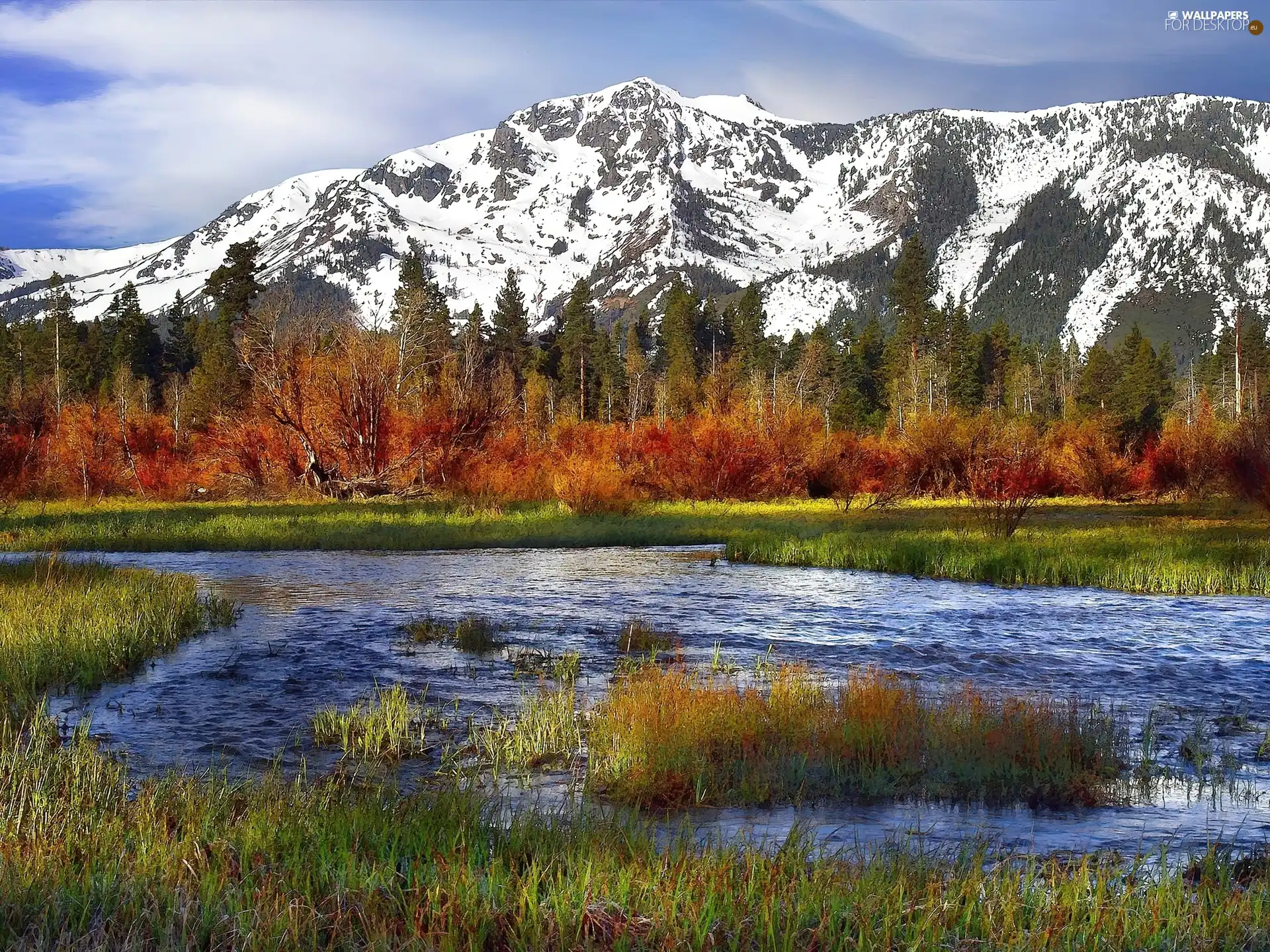 water, grass, trees, viewes, Mountains