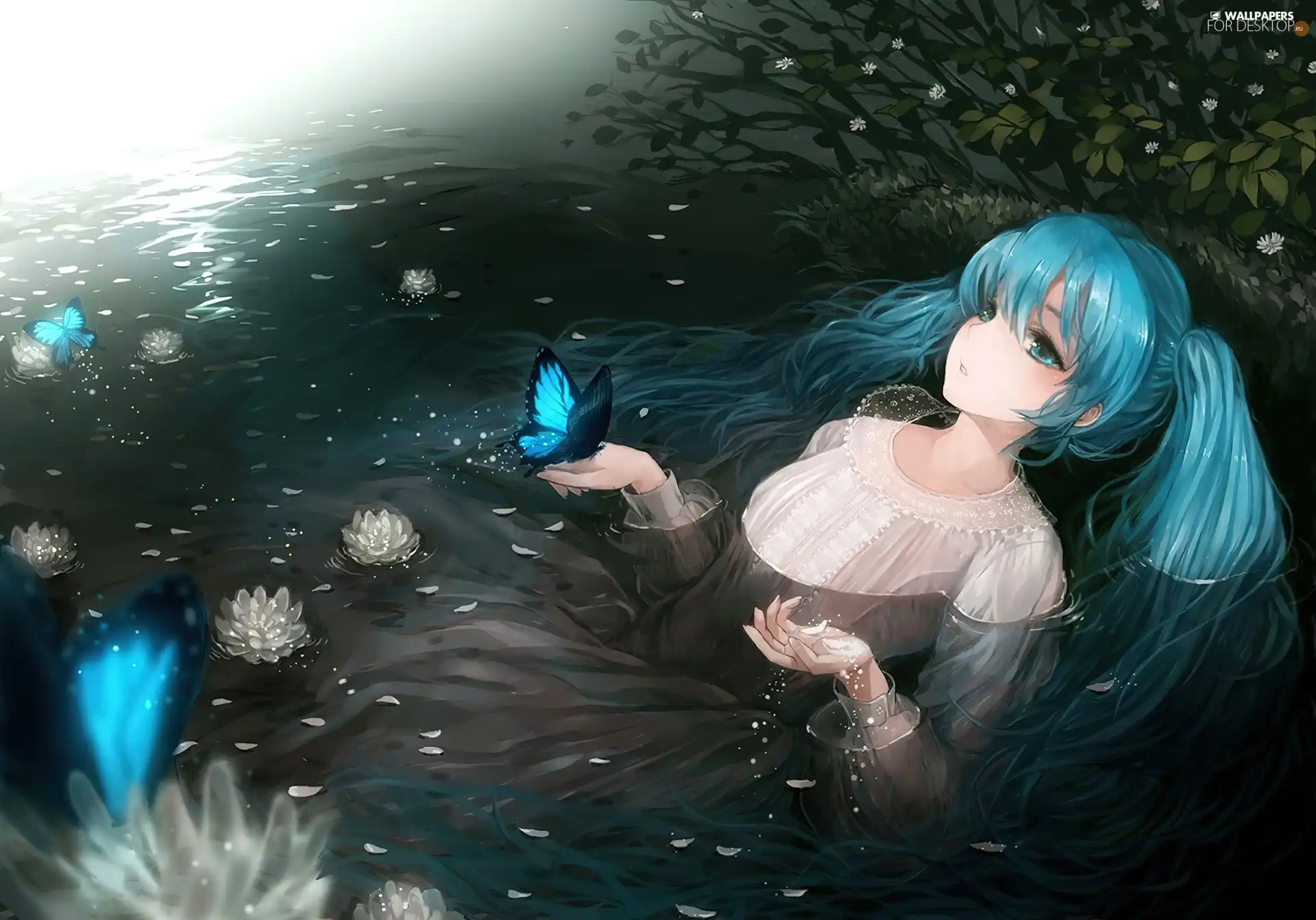 butterfly, Hatsune Miku, water