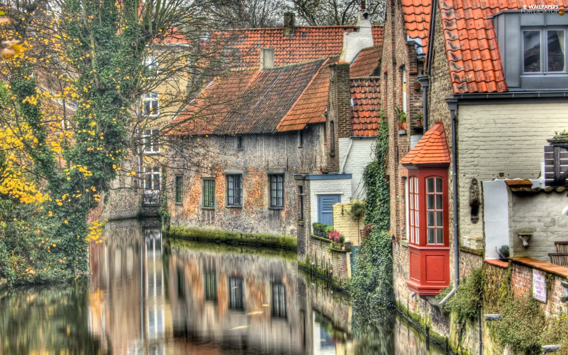Houses, viewes, water, trees