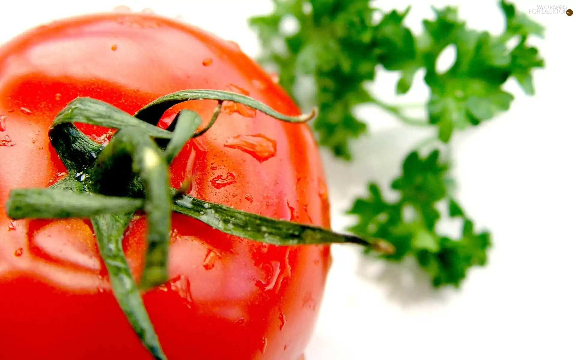 mature, drops, water, tomato