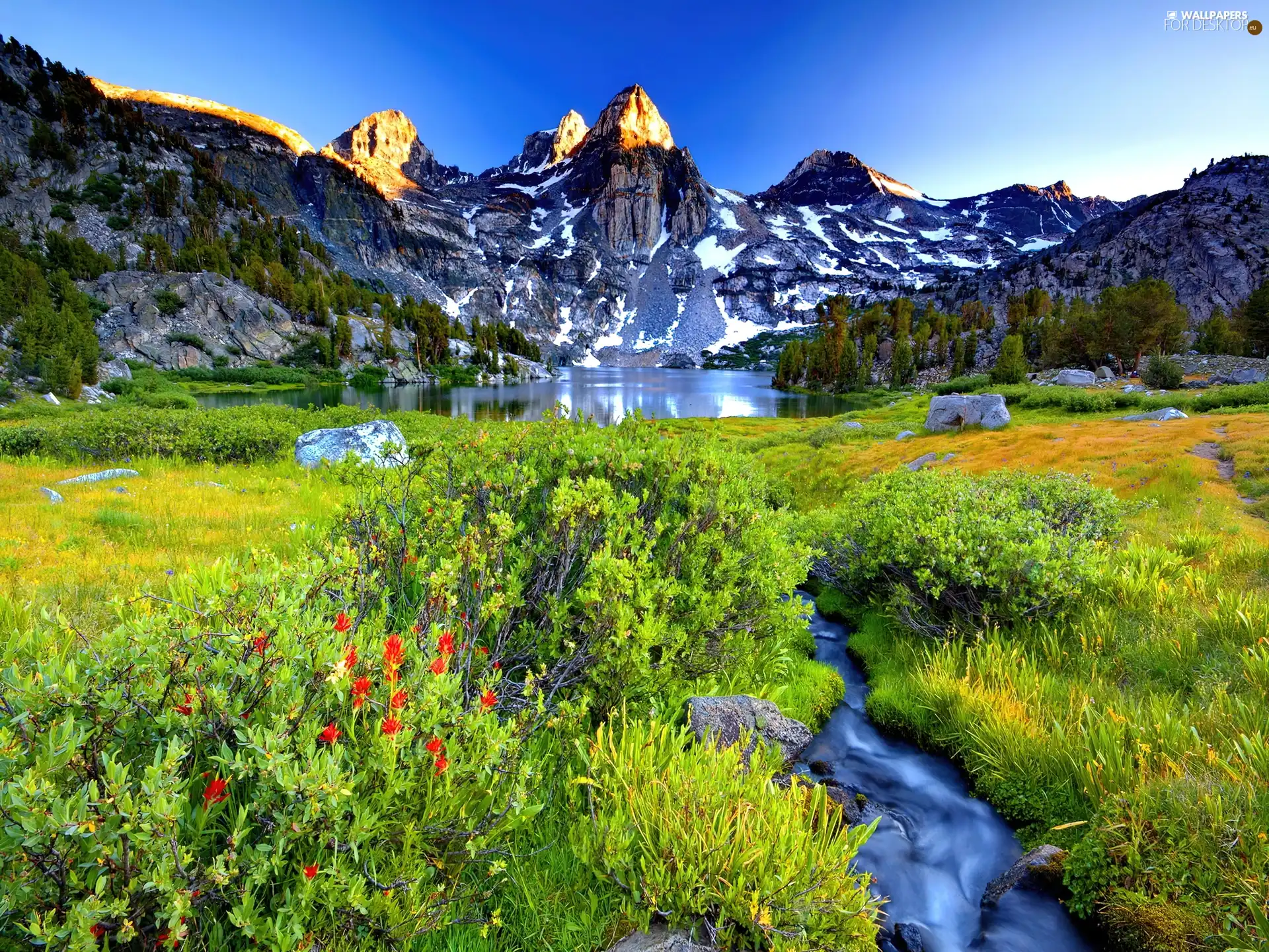 Mountains, grass, water, Sky