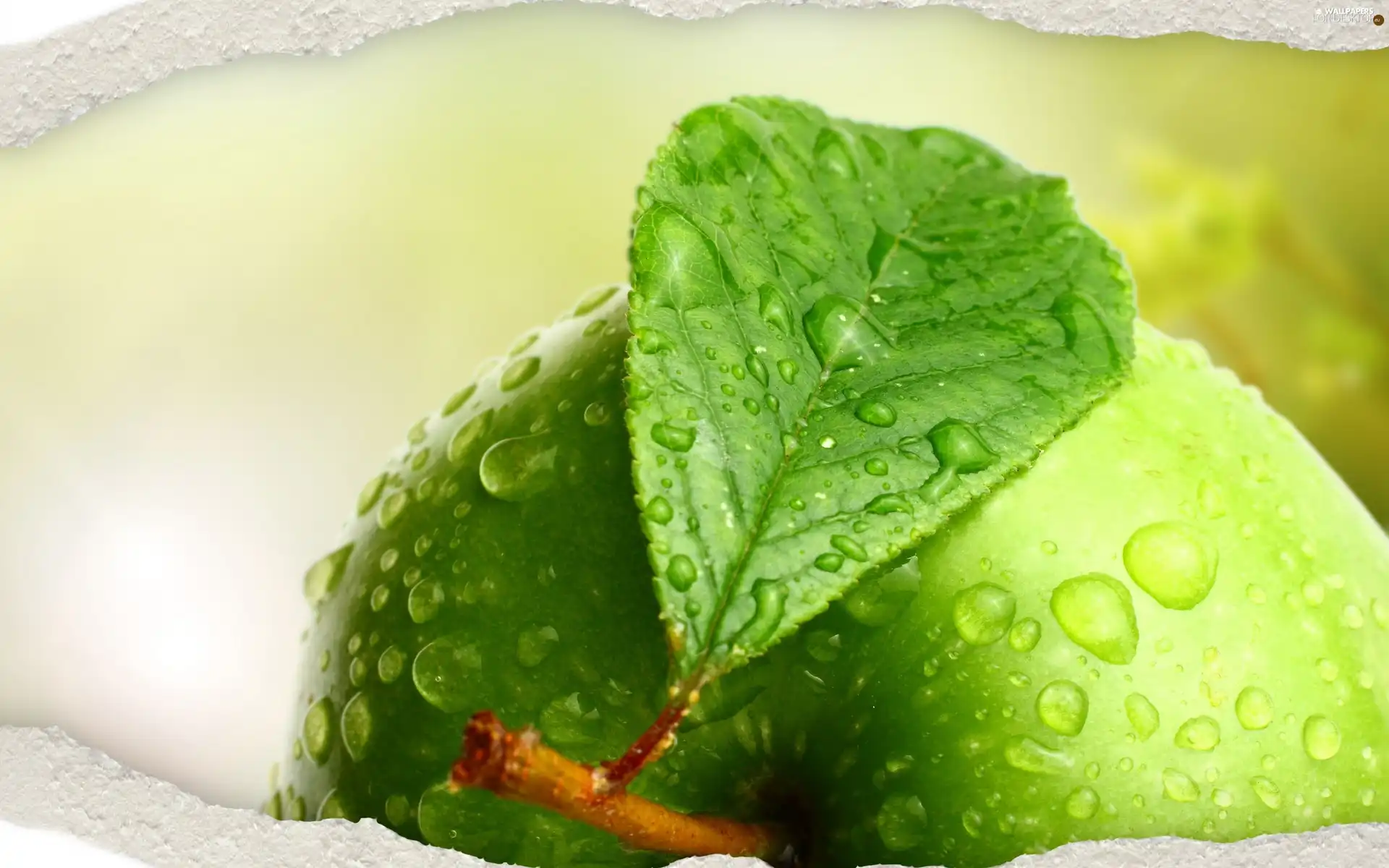 green ones, drops, water, apple