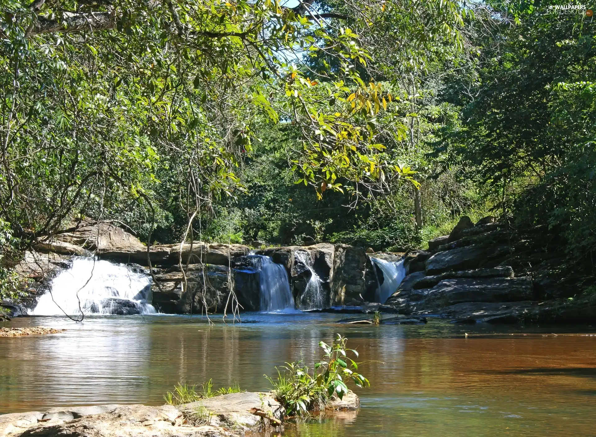 water, Park, trees, viewes, cascade