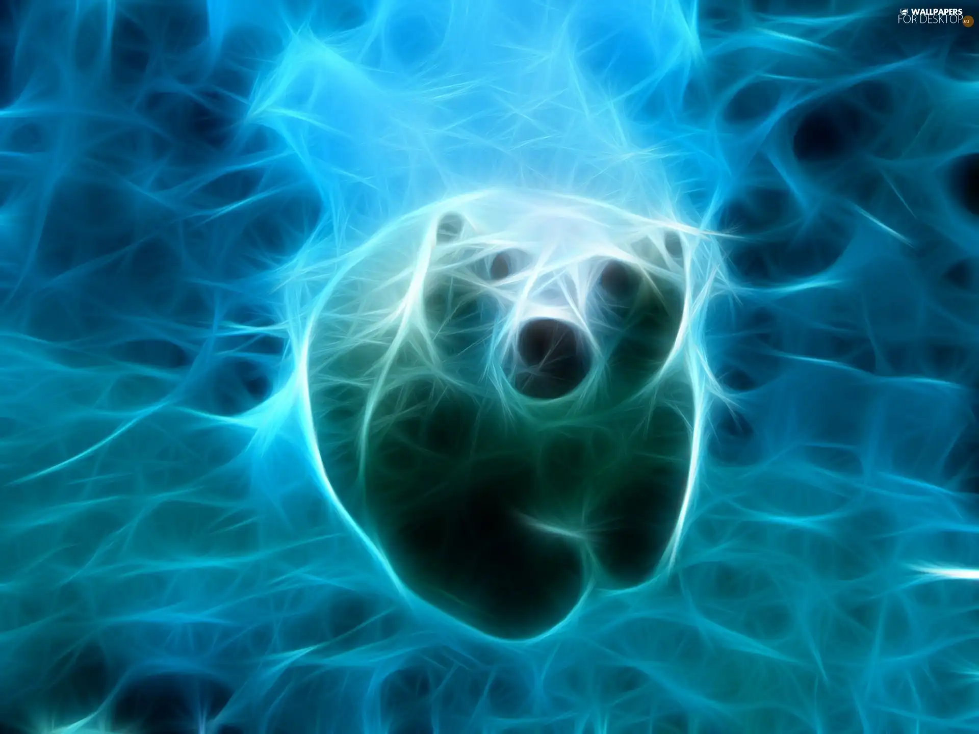 water, teddybear, Vectorial