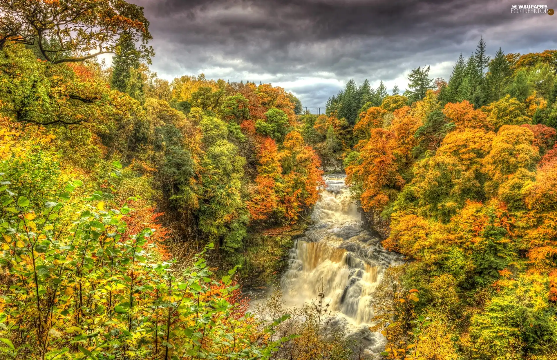 waterfall, autumn, forest