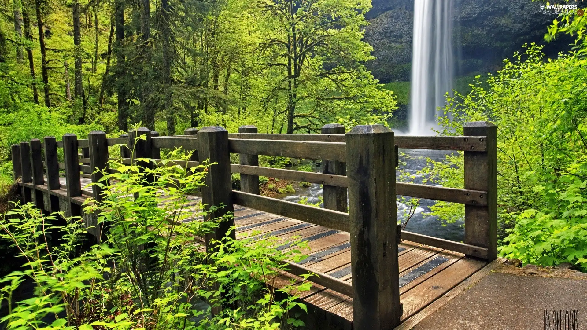 forest, bridges, waterfall, wooden