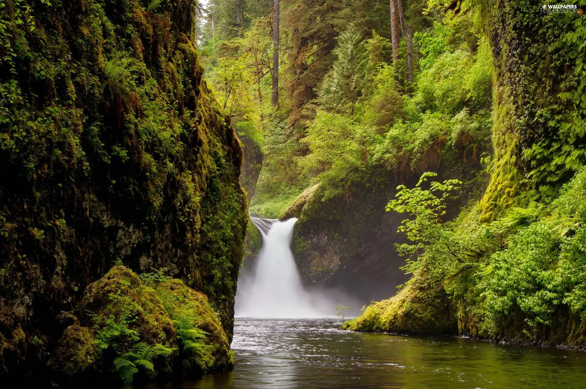 waterfall, forest, rocks