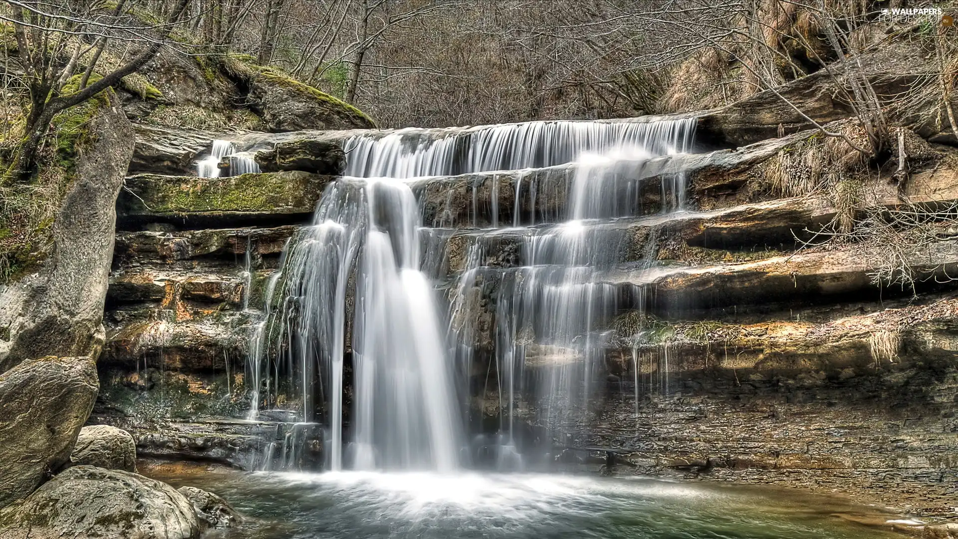 waterfall, forest, rocks